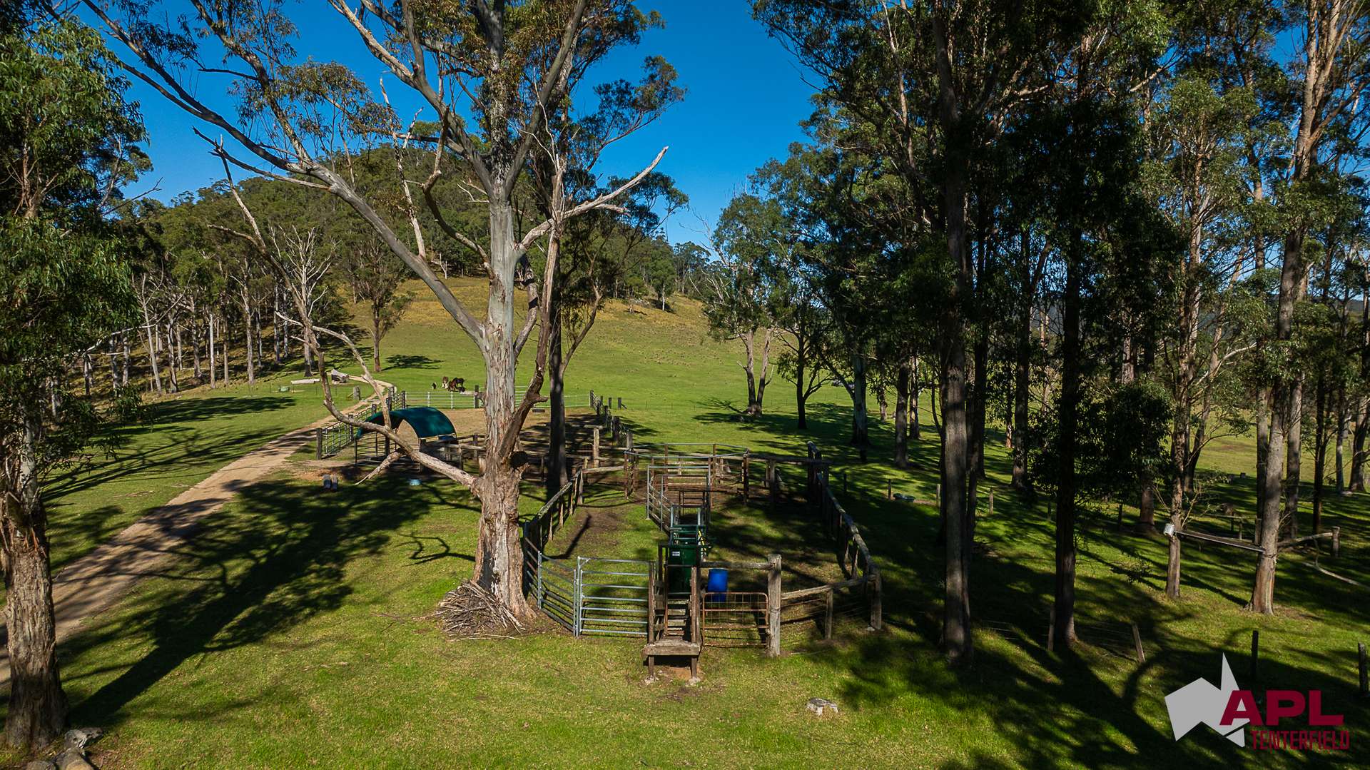 1600 Billirimba Road, Tenterfield For Sale by Farmbuy.com - image 25