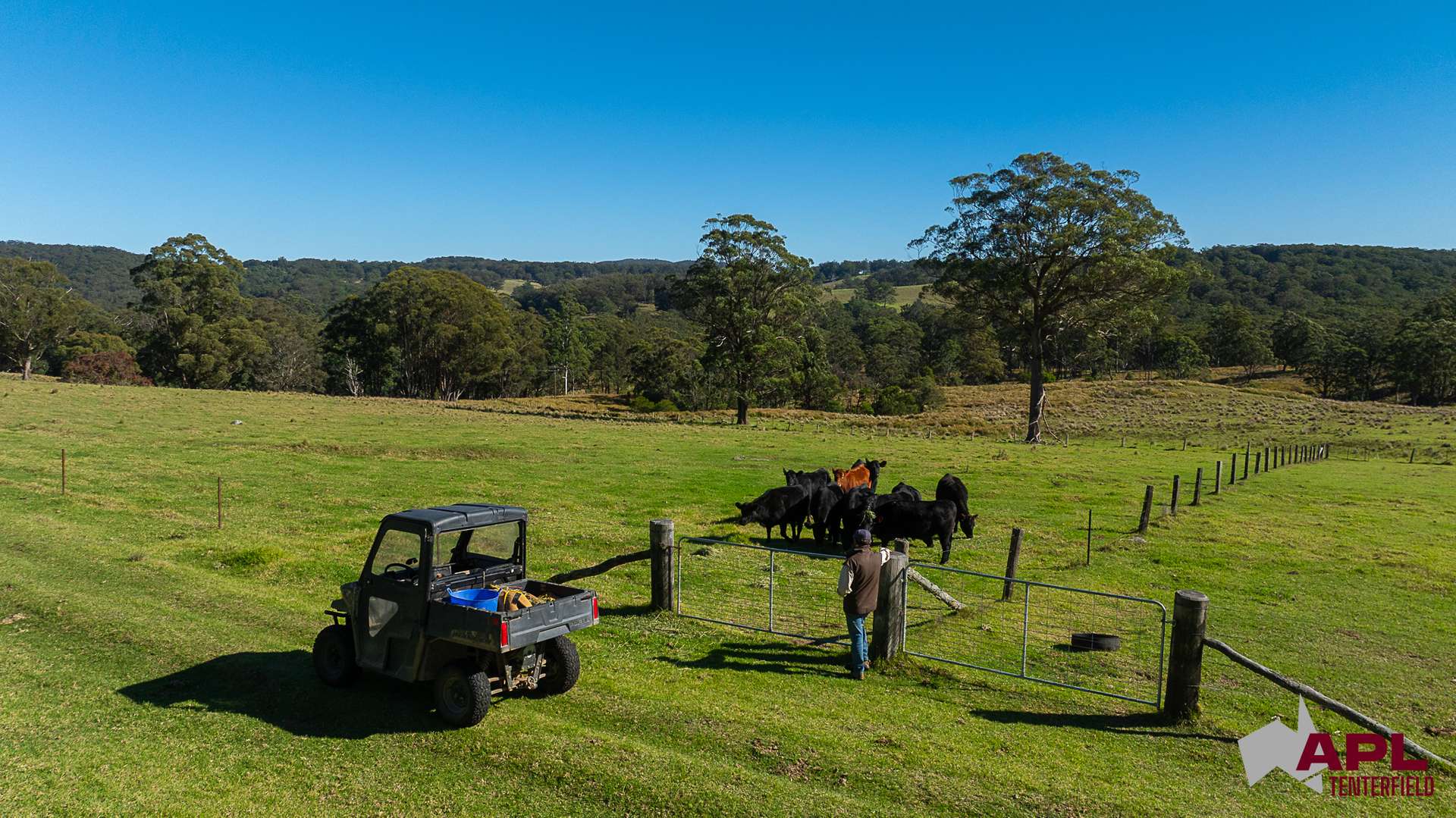 1600 Billirimba Road, Tenterfield For Sale by Farmbuy.com - image 23