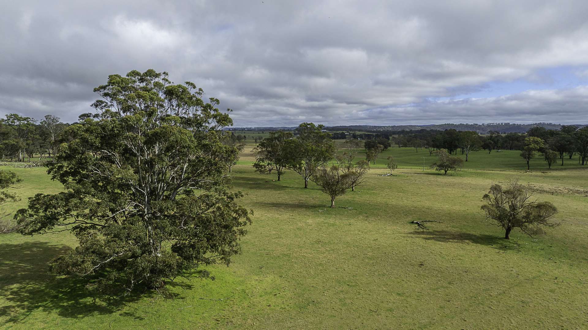 "Camena" 12921 Kempsey Road, Armidale Auction by Farmbuy.com - image 28