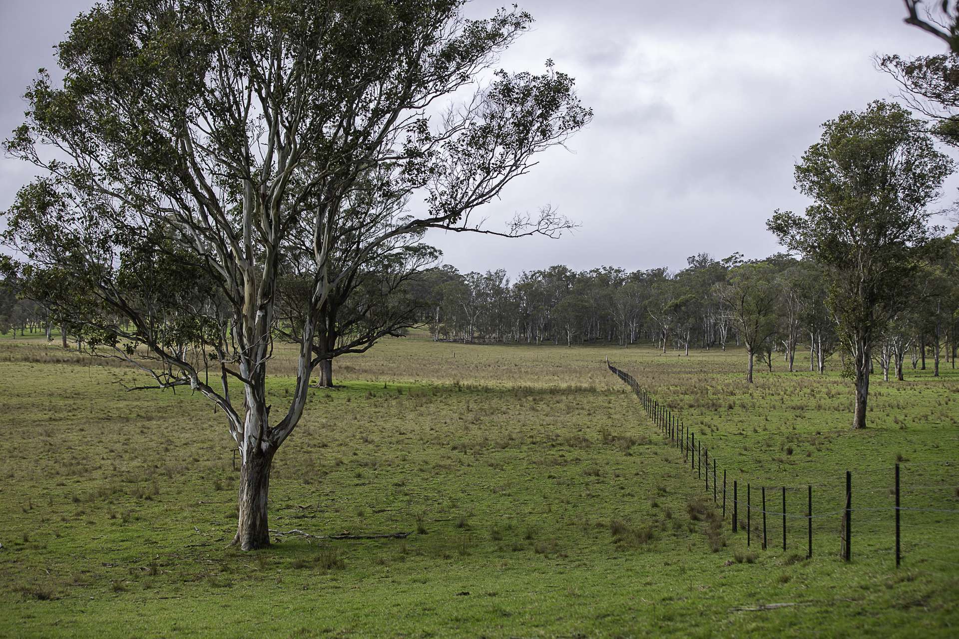 "Camena" 12921 Kempsey Road, Armidale Auction by Farmbuy.com - image 18