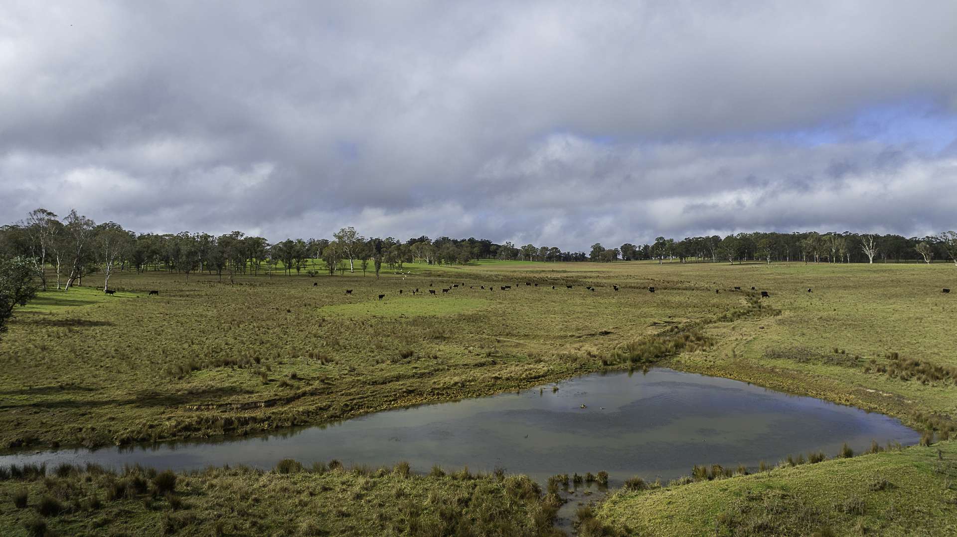 "Camena" 12921 Kempsey Road, Armidale Auction by Farmbuy.com - image 20