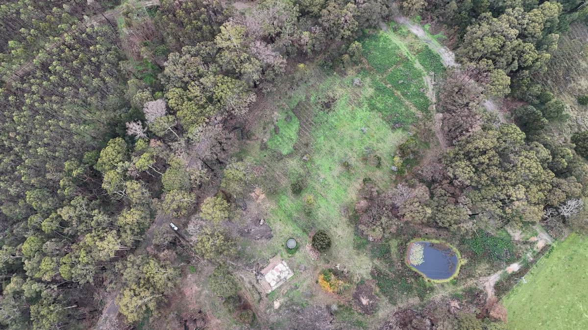 95 Wonga Road, Kawarren For Sale by Farmbuy.com - image 7