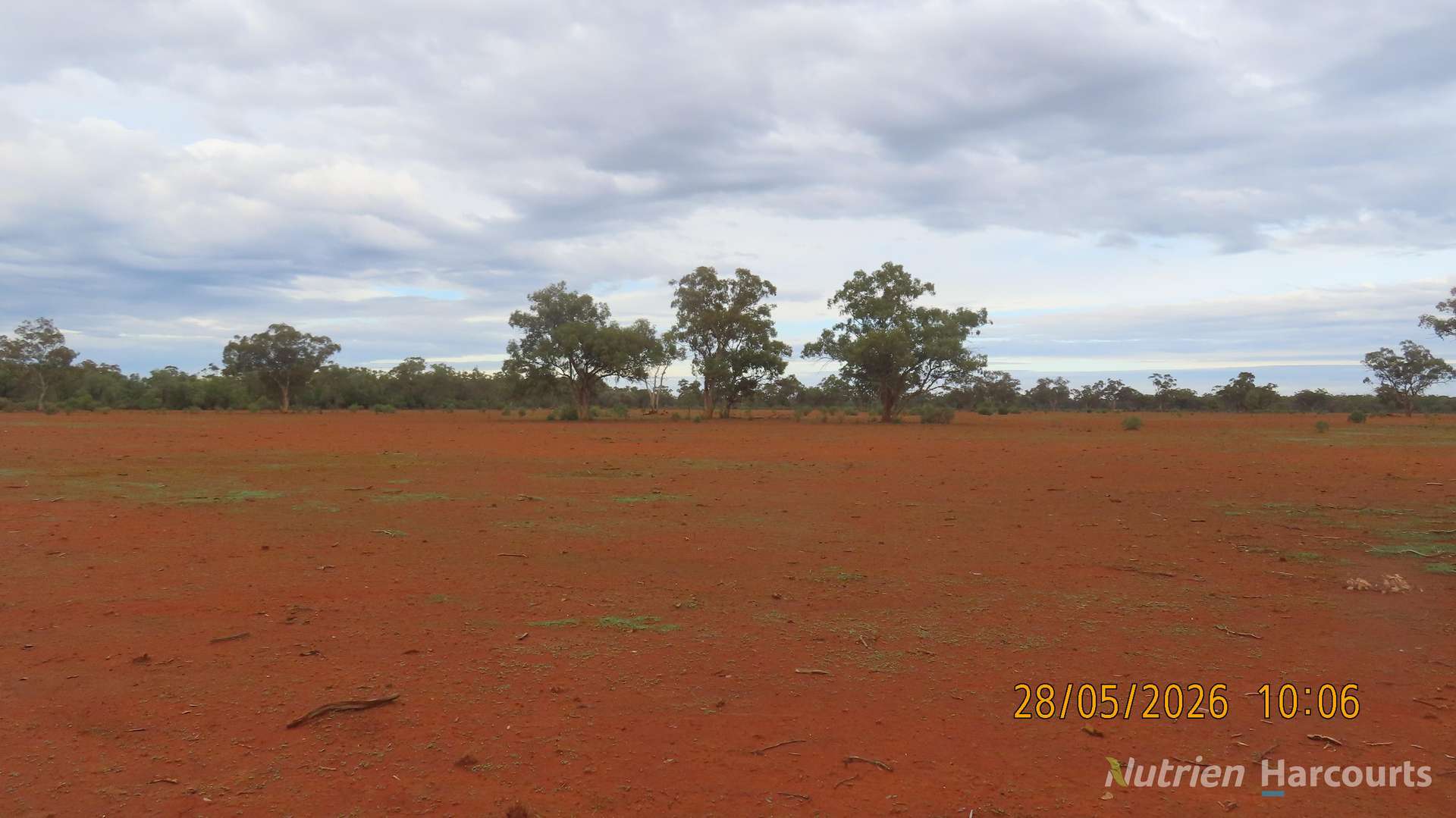 * WILGA, Coolabah For Sale by Farmbuy.com - image 6