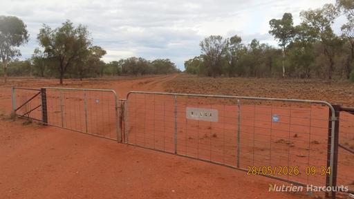&ast; WILGA, Coolabah NSW 2831