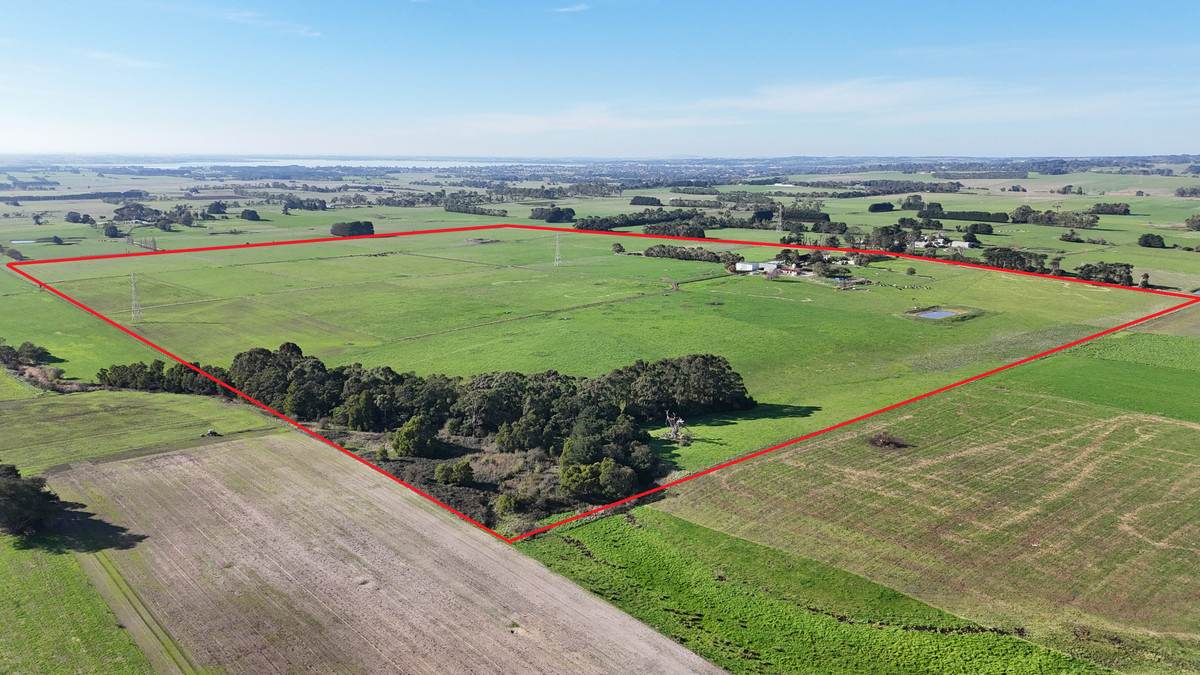 60 Tannis Road, Larpent For Sale by Farmbuy.com - image 4