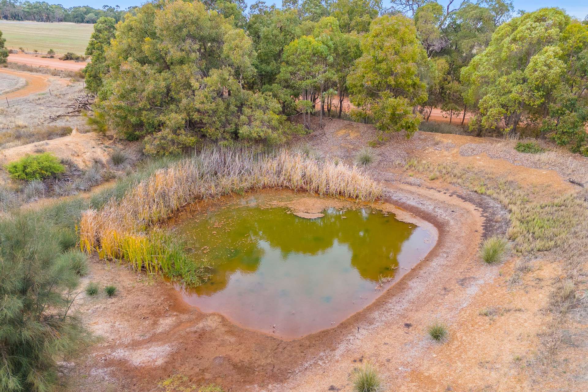 496 North Road, Wannamal For Sale by Farmbuy.com - image 18