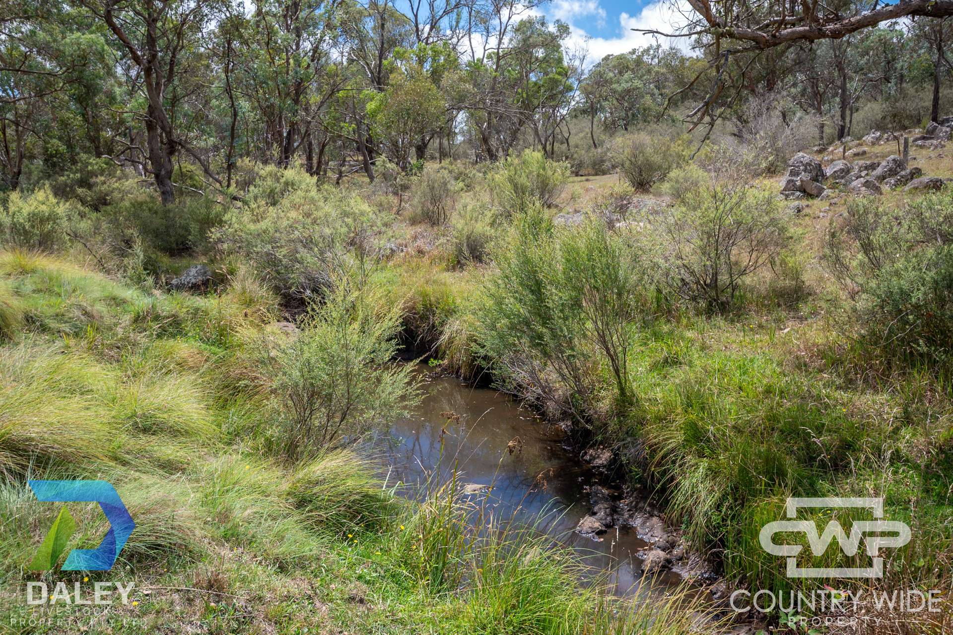 Lot 214, - Piggery Road, Red Range For Sale by Farmbuy.com - image 13