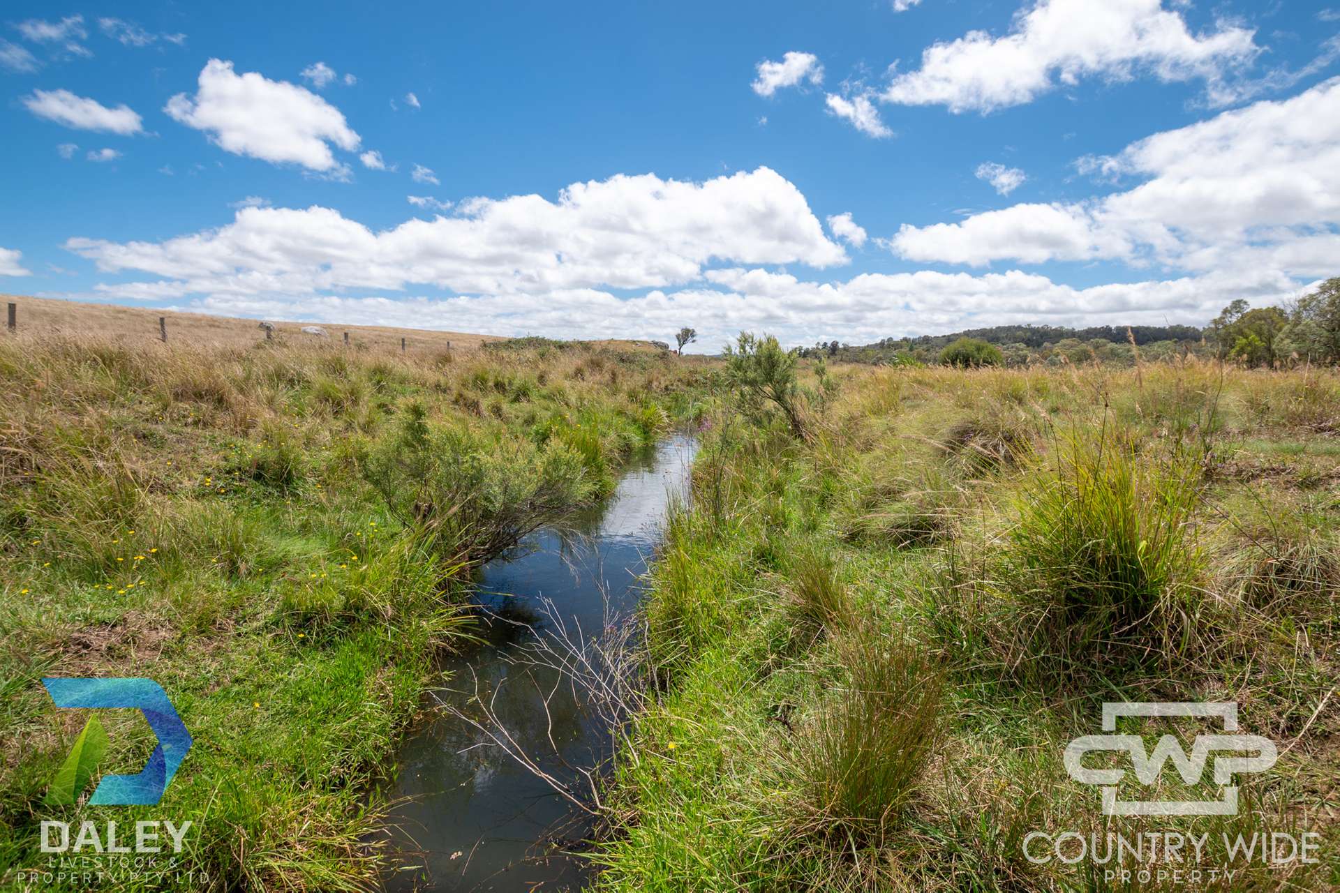 Lot 214, - Piggery Road, Red Range For Sale by Farmbuy.com - image 2