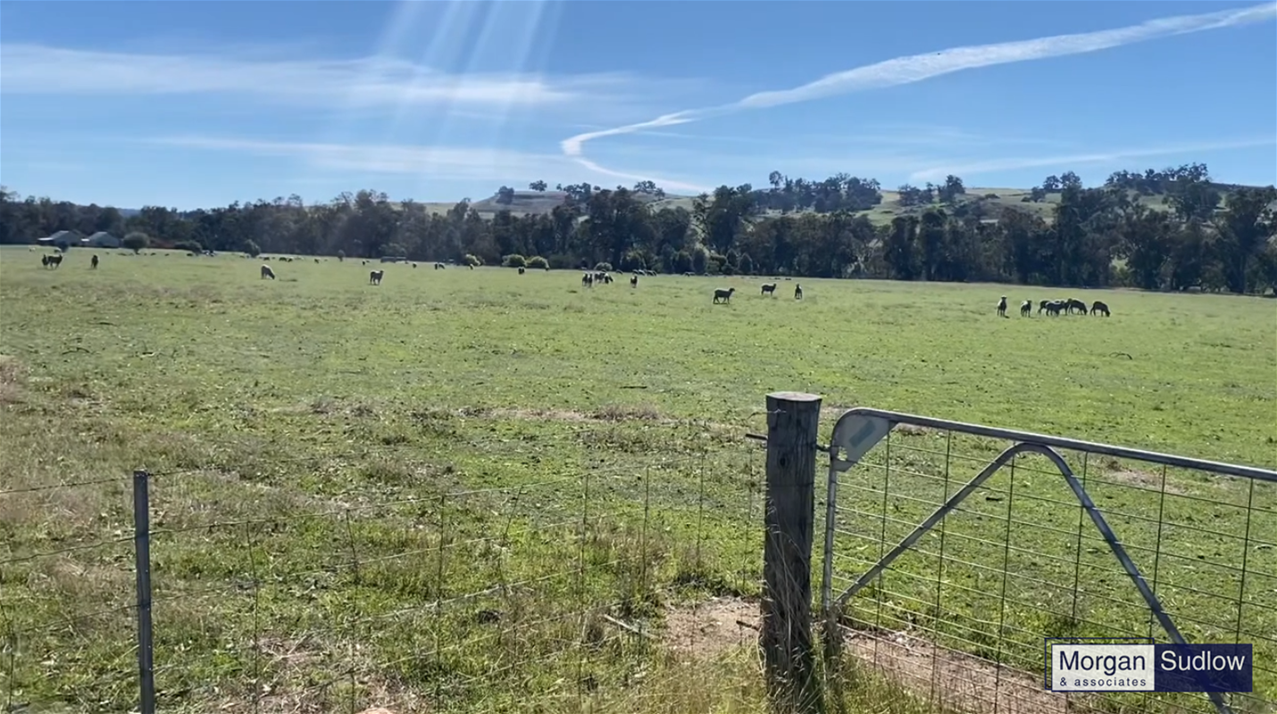 9397-9455 Pinjarra-Williams Road, Williams For Sale by Farmbuy.com - image 3