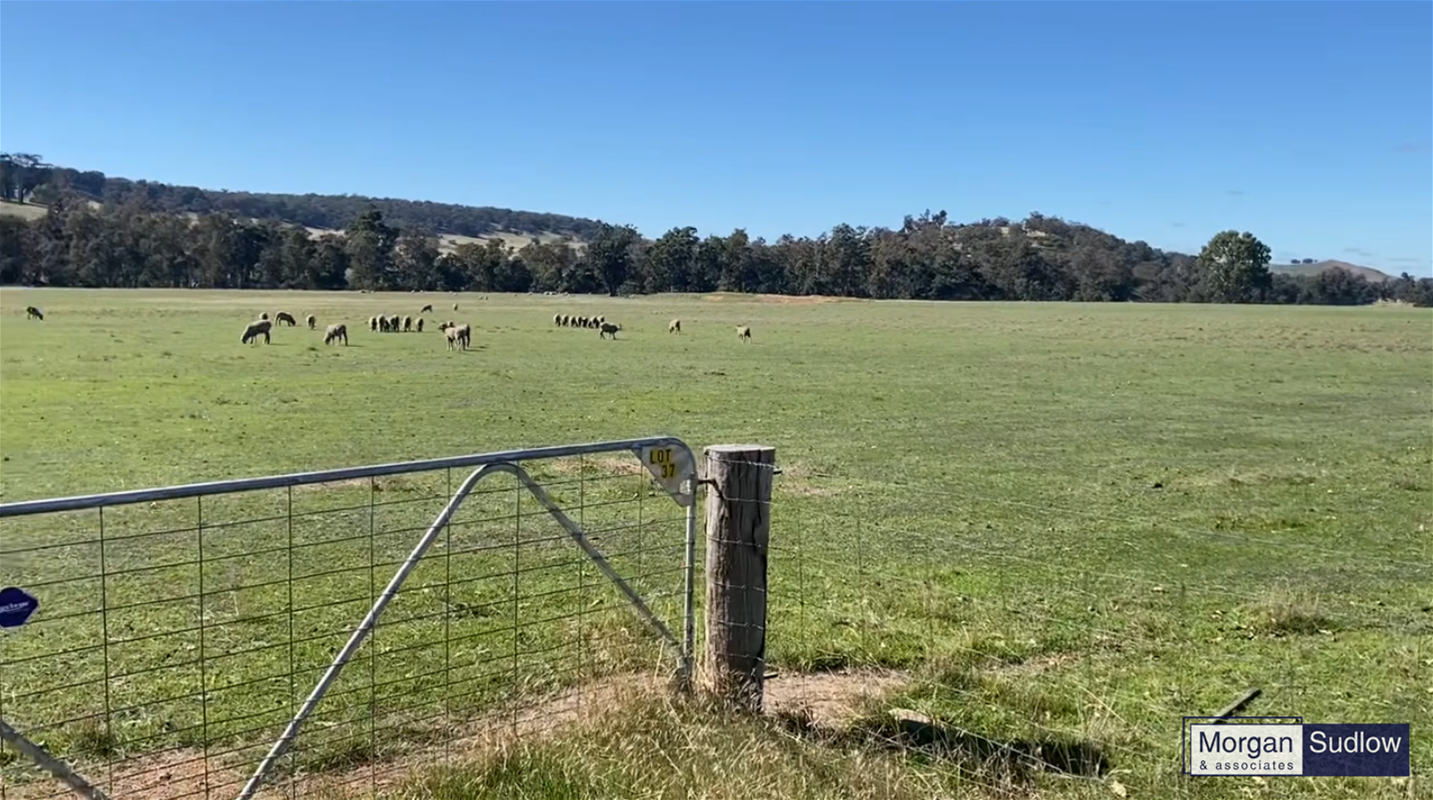 9397-9455 Pinjarra-Williams Road, Williams For Sale by Farmbuy.com - image 2