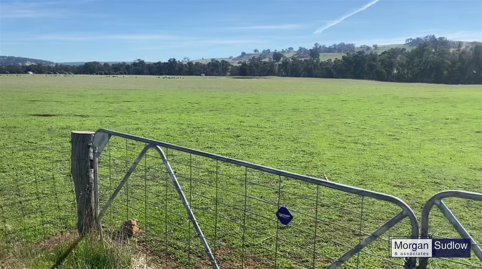 Lot 38 Pinjarra-Williams Road, Williams For Sale by Farmbuy.com - image 2