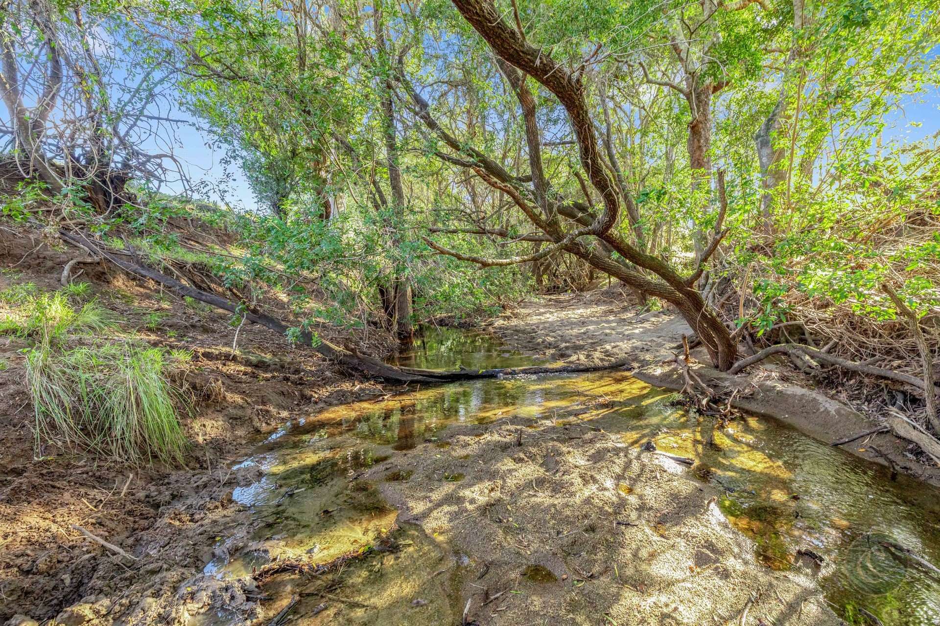 Lot 264 Abel Road, Lower Wonga For Sale by Farmbuy.com - image 27