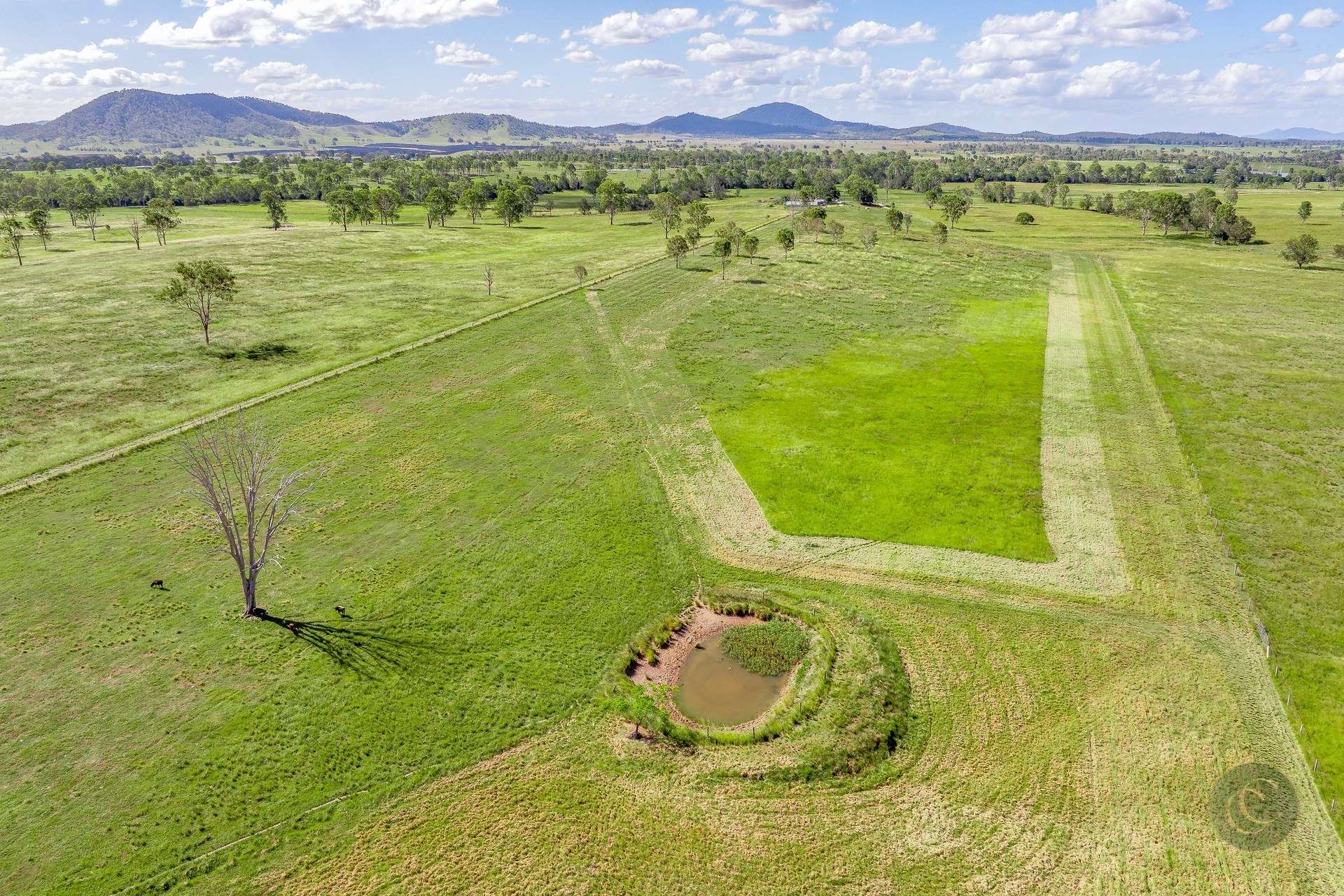 276 Harvey Road, Lower Wonga For Sale by Farmbuy.com - image 20