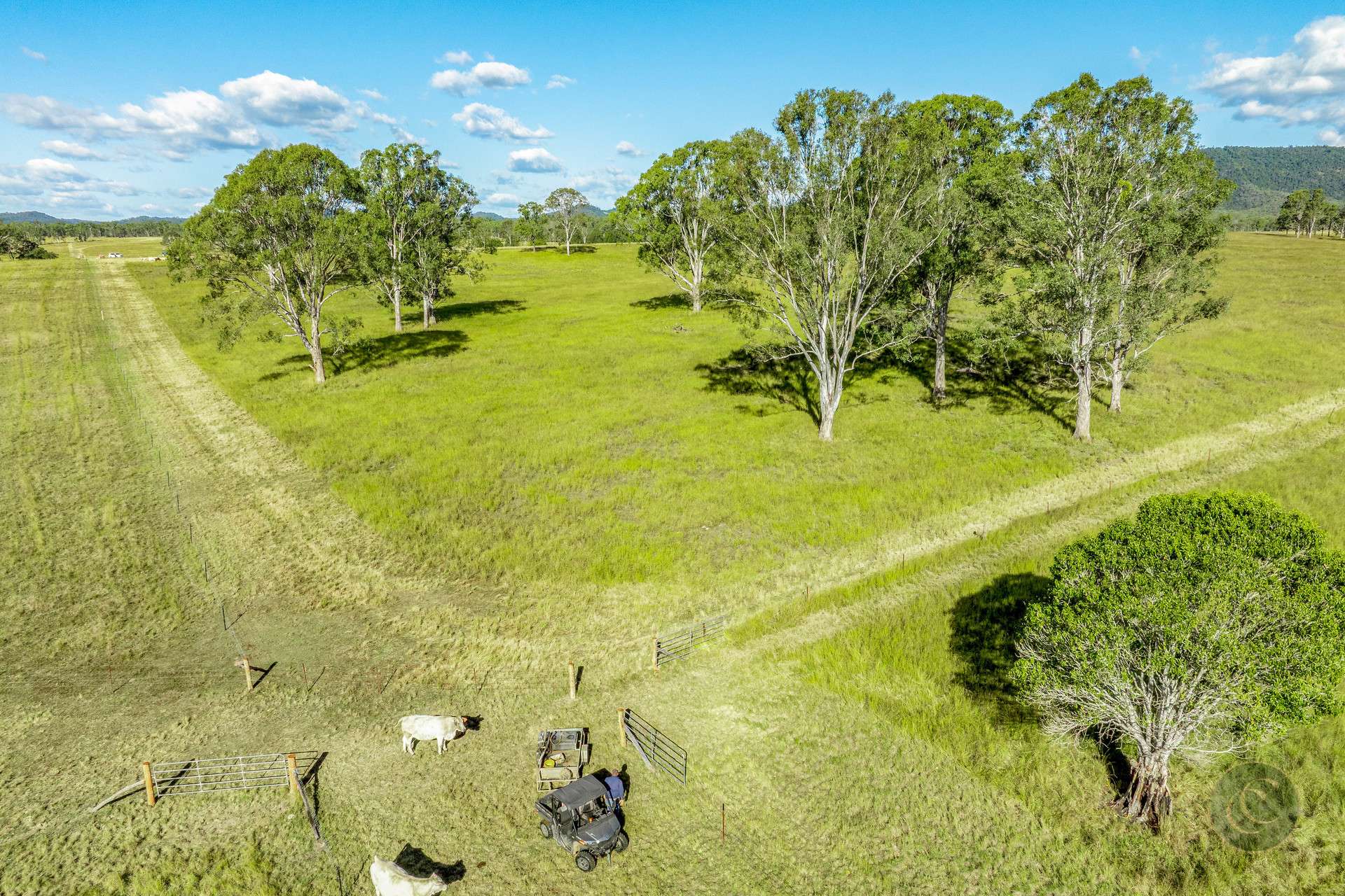 Lot 264 Abel Road, Lower Wonga For Sale by Farmbuy.com - image 6