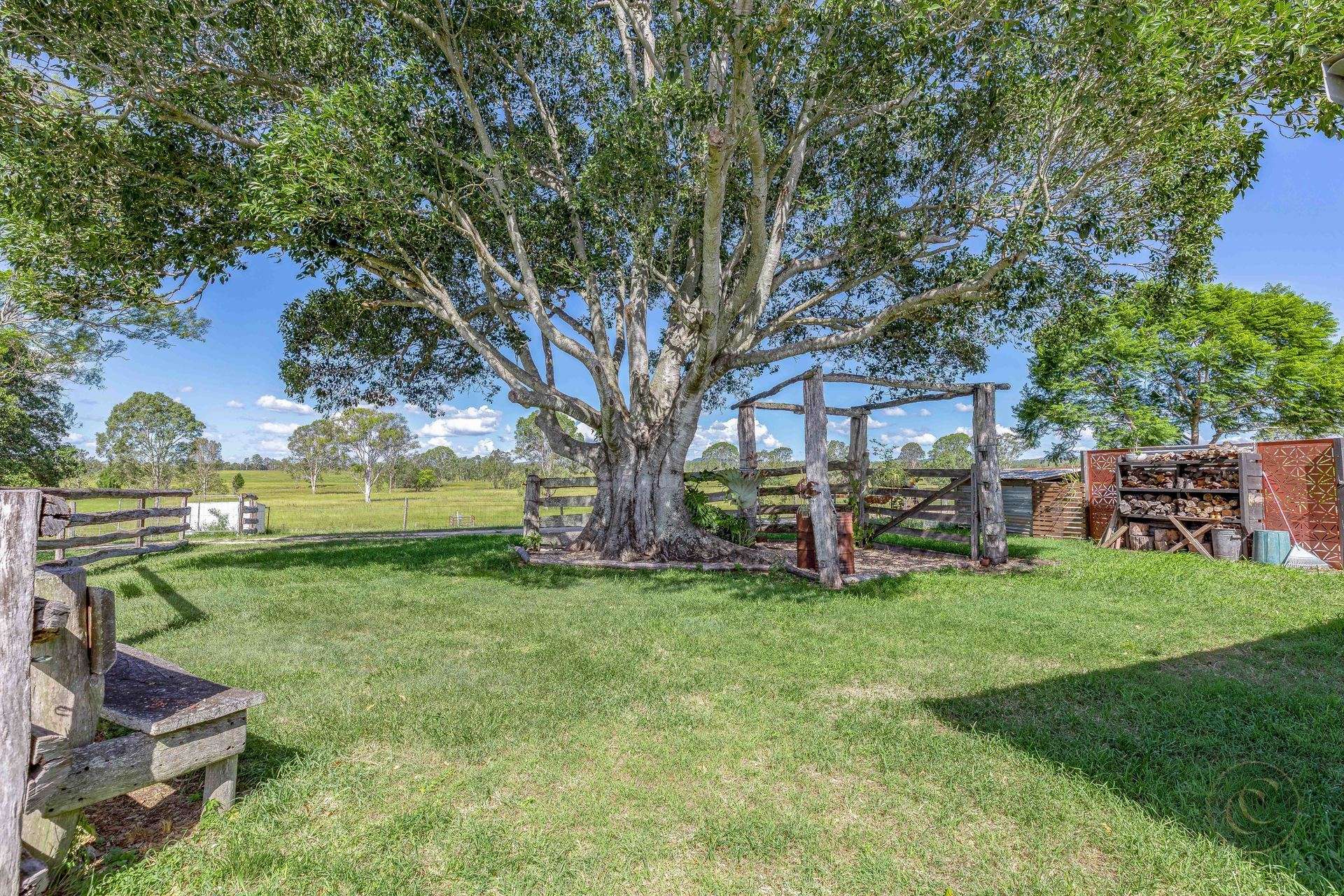 276 Harvey Road, Lower Wonga For Sale by Farmbuy.com - image 16