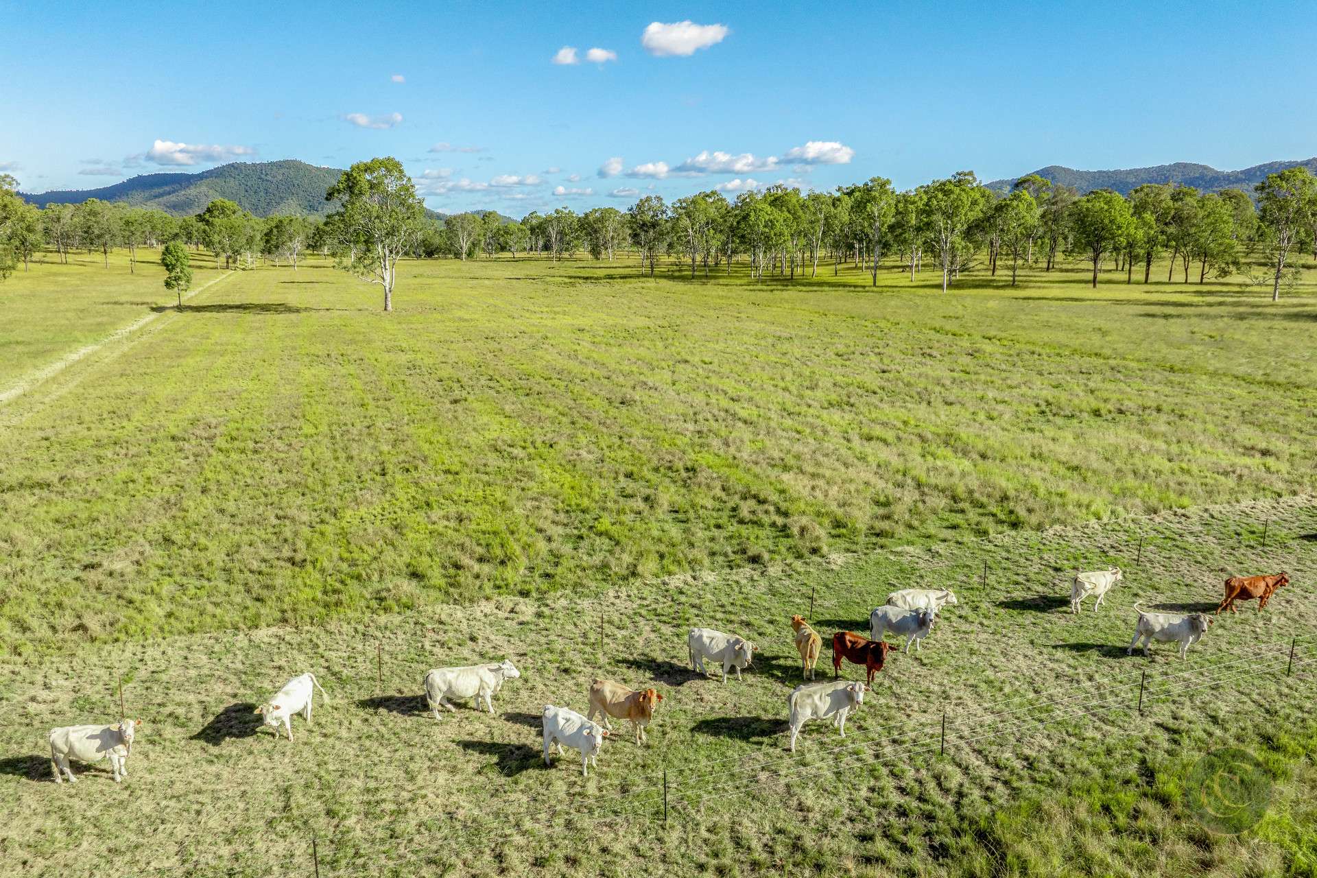 Lot 264 Abel Road, Lower Wonga For Sale by Farmbuy.com - image 7