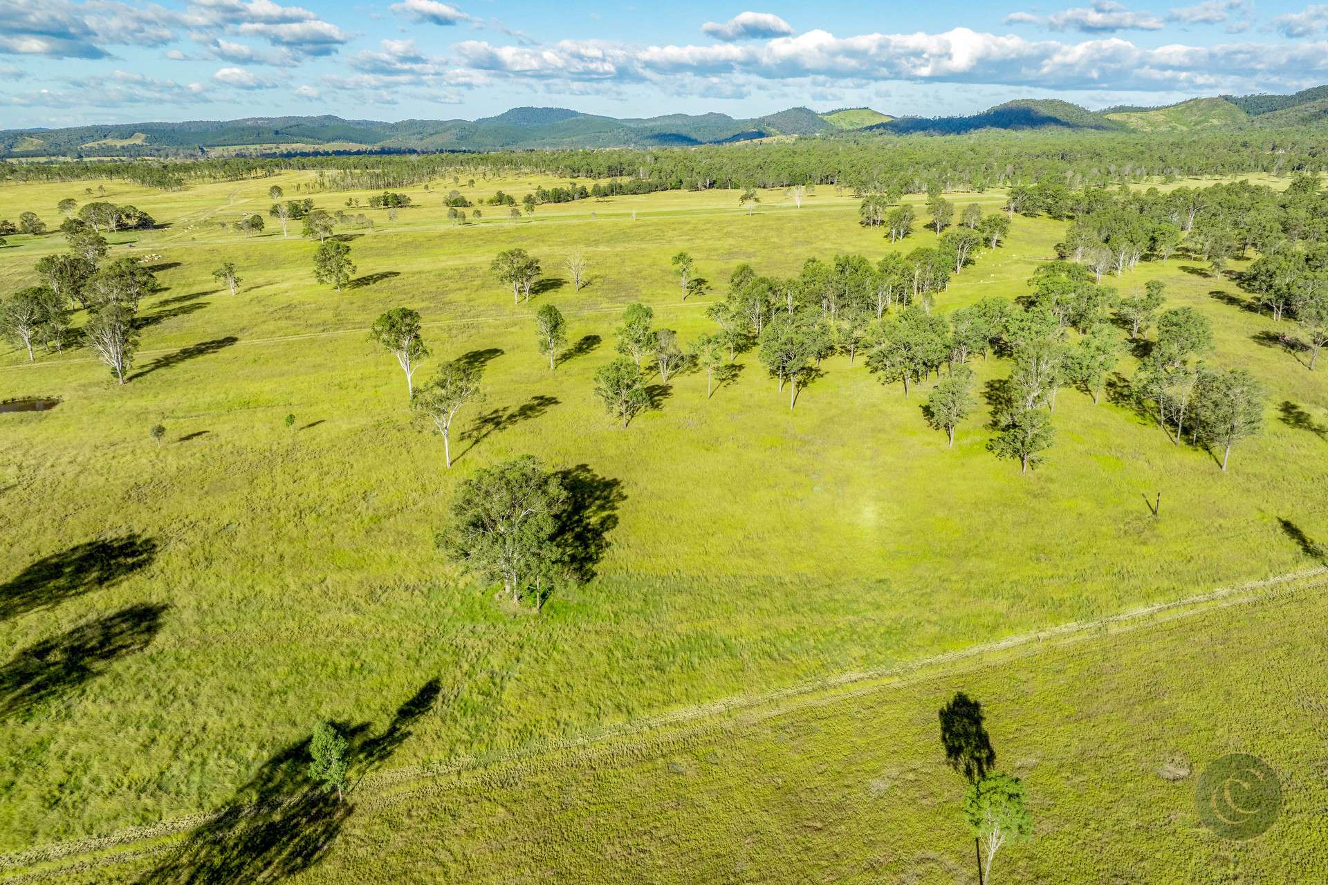 Lot 264 Abel Road, Lower Wonga For Sale by Farmbuy.com - image 10