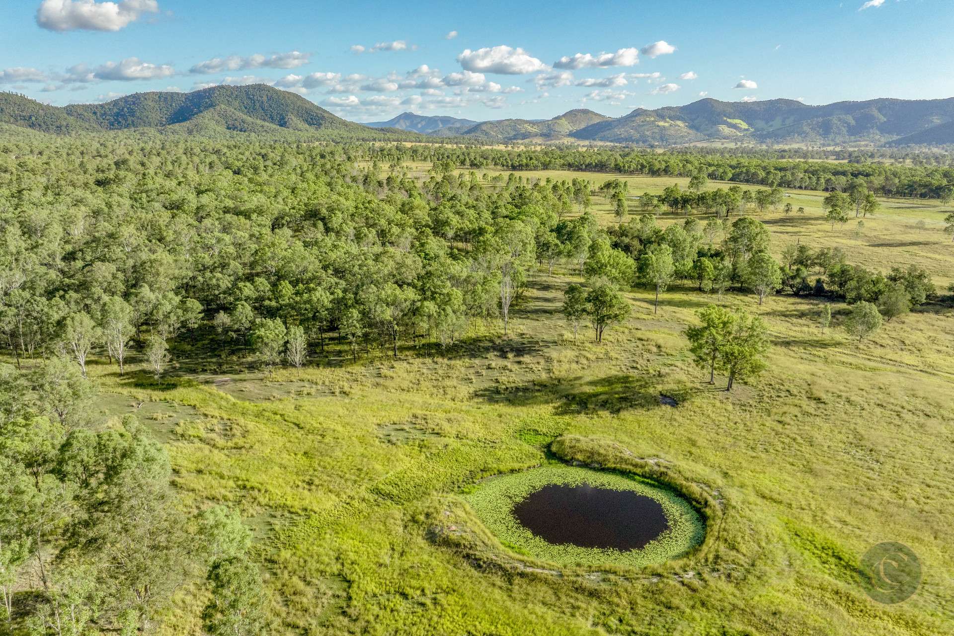 Lot 264 Abel Road, Lower Wonga For Sale by Farmbuy.com - image 13