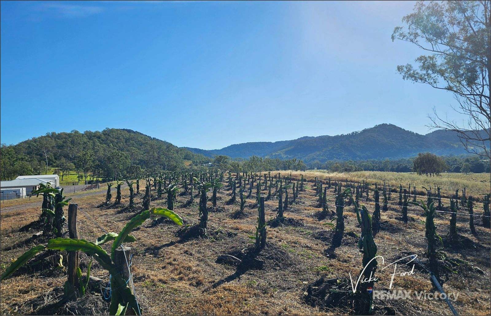 114 East Funnel Creek Road, Sarina Range For Sale by Farmbuy.com - image 30