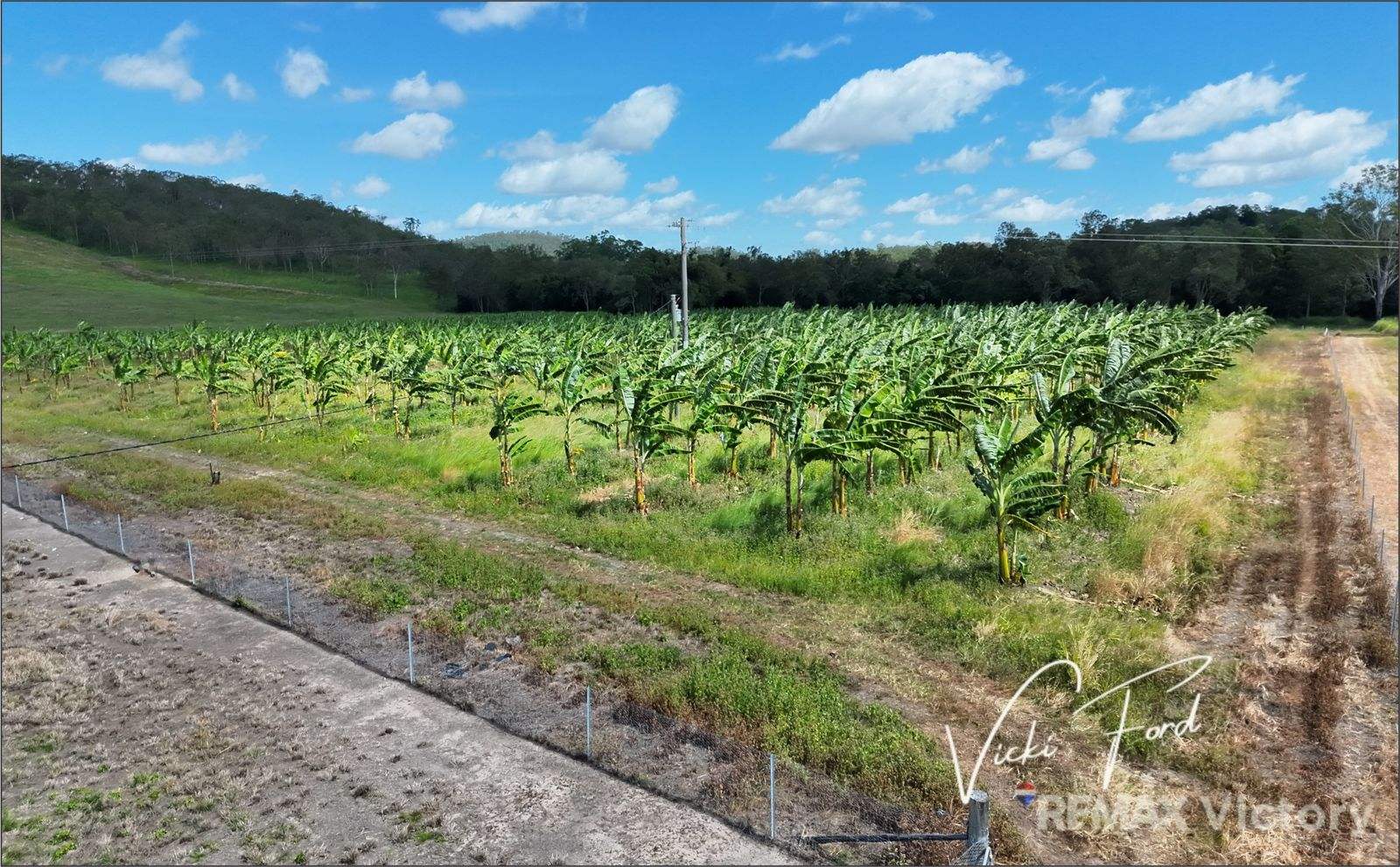 114 East Funnel Creek Road, Sarina Range For Sale by Farmbuy.com - image 14