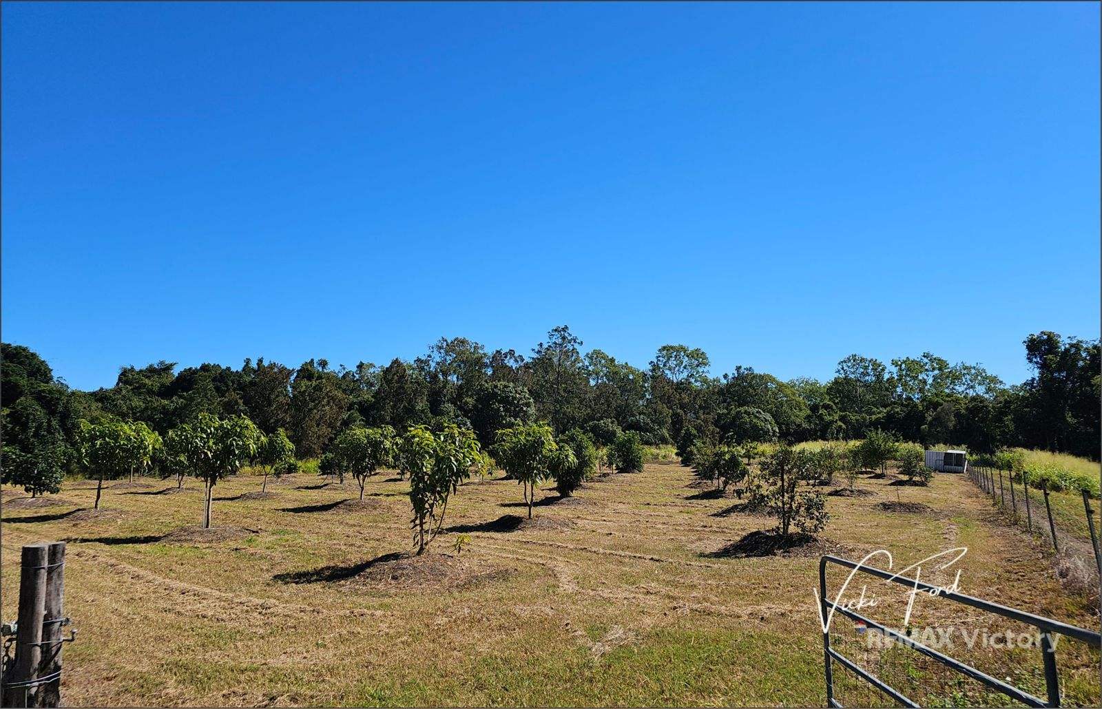 114 East Funnel Creek Road, Sarina Range For Sale by Farmbuy.com - image 31