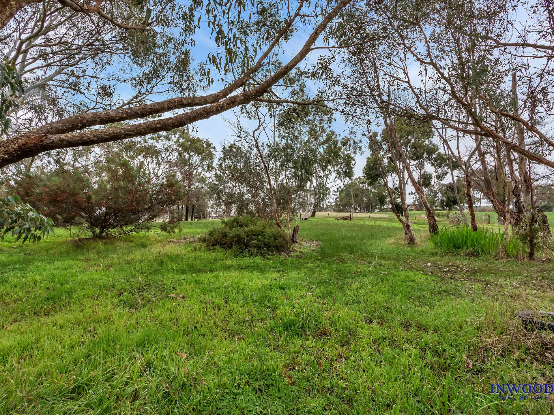 25-27 Breakneck Hill Road, Penrice For Sale by Farmbuy.com - image 5