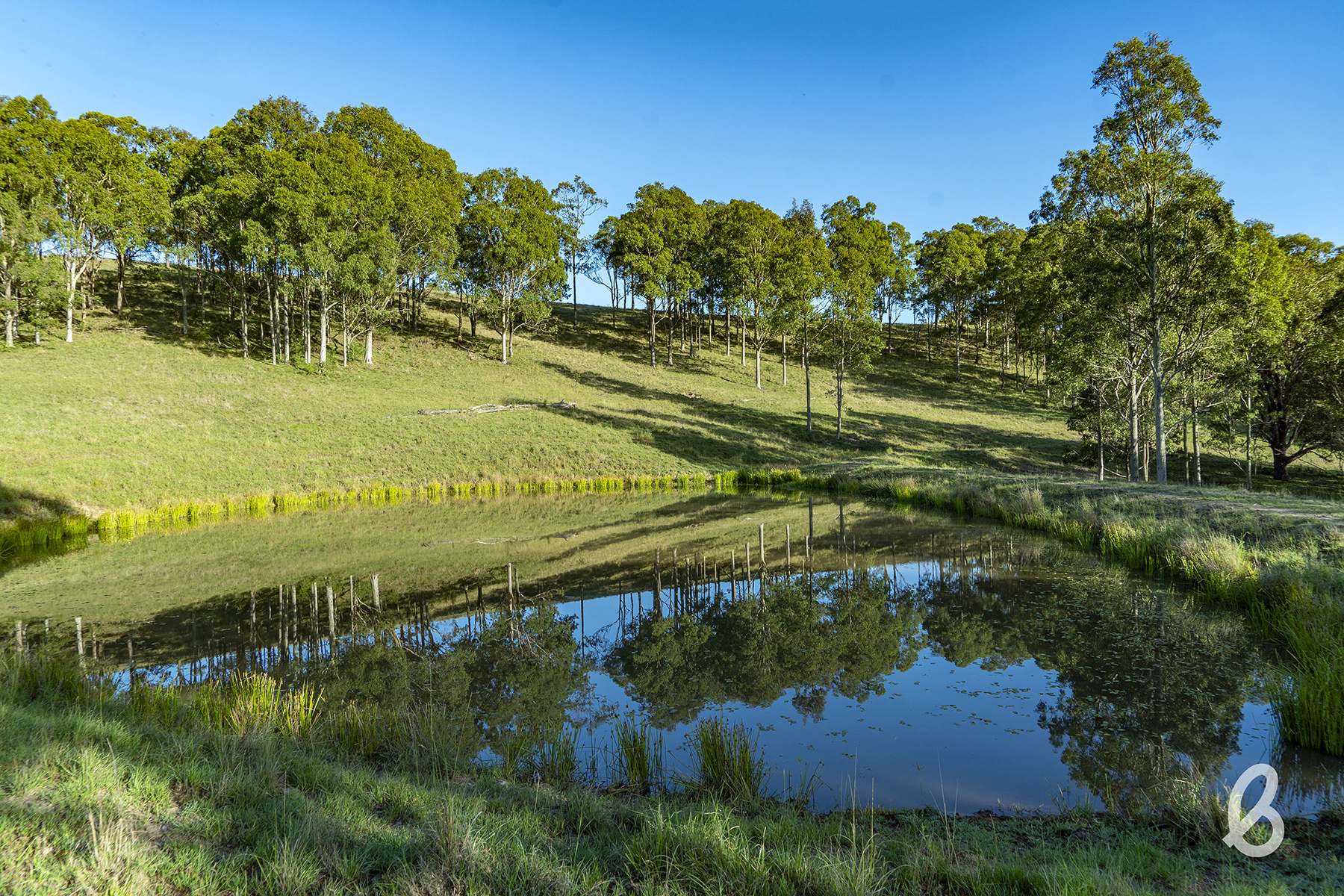 89 Manresa Park Road, Glendon Brook For Sale by Farmbuy.com - image 29