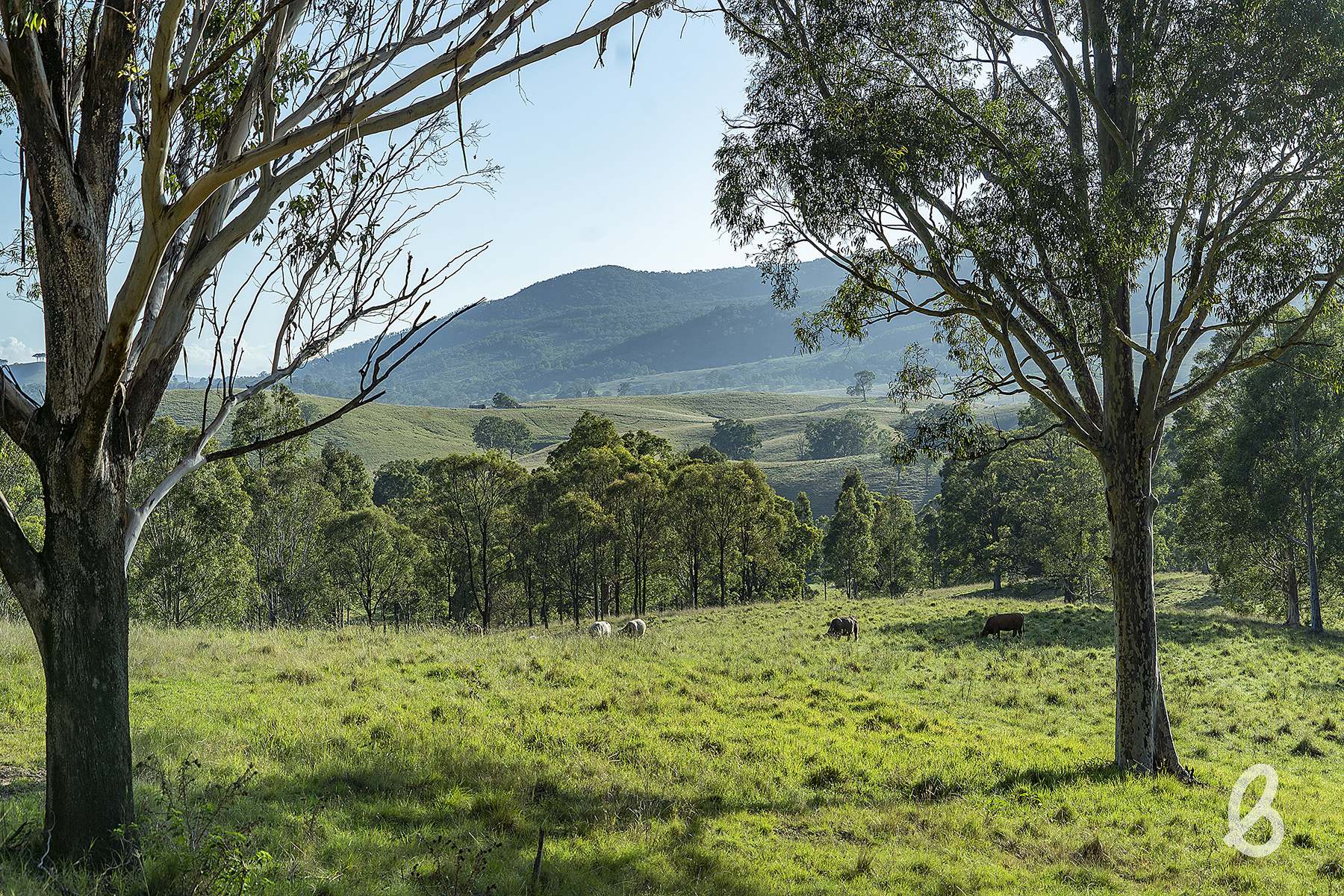 89 Manresa Park Road, Glendon Brook For Sale by Farmbuy.com - image 4