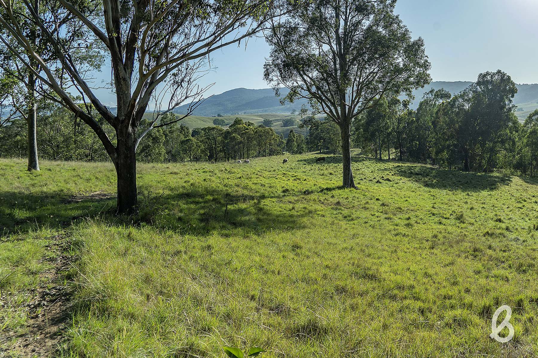 89 Manresa Park Road, Glendon Brook For Sale by Farmbuy.com - image 5