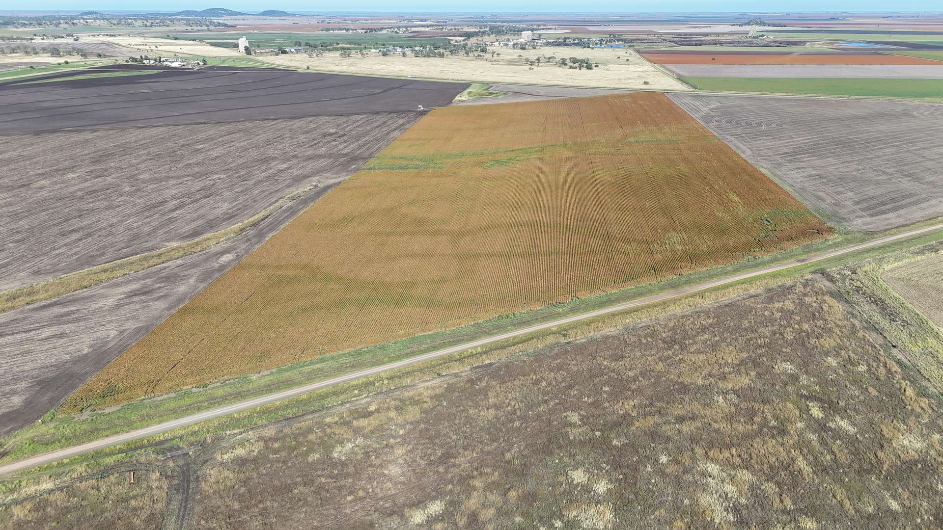 "Mullers Flat" Lot 2022 Oakey Pittsworth Road, Aubigny For Sale by Farmbuy.com - image 1