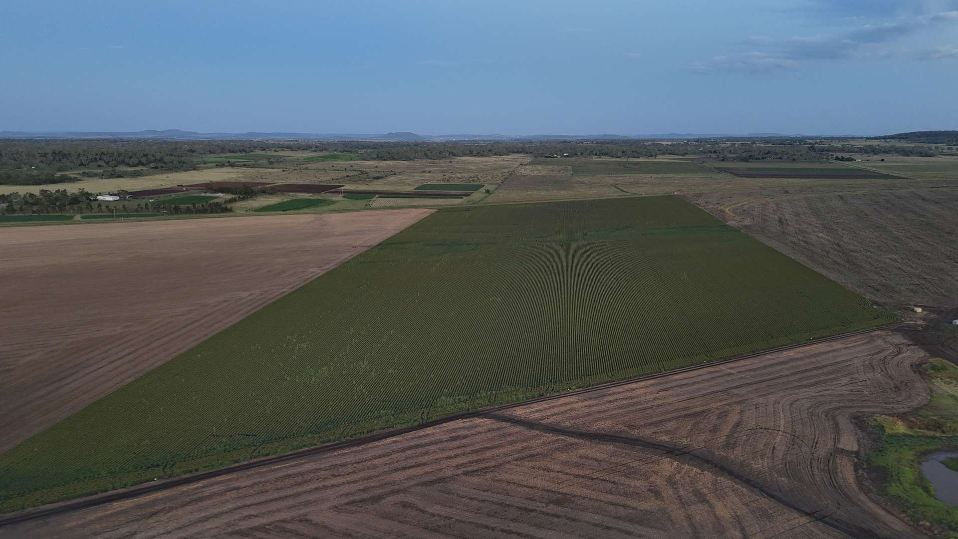"Mullers Flat" Lot 2022 Oakey Pittsworth Road, Aubigny For Sale by Farmbuy.com - image 17