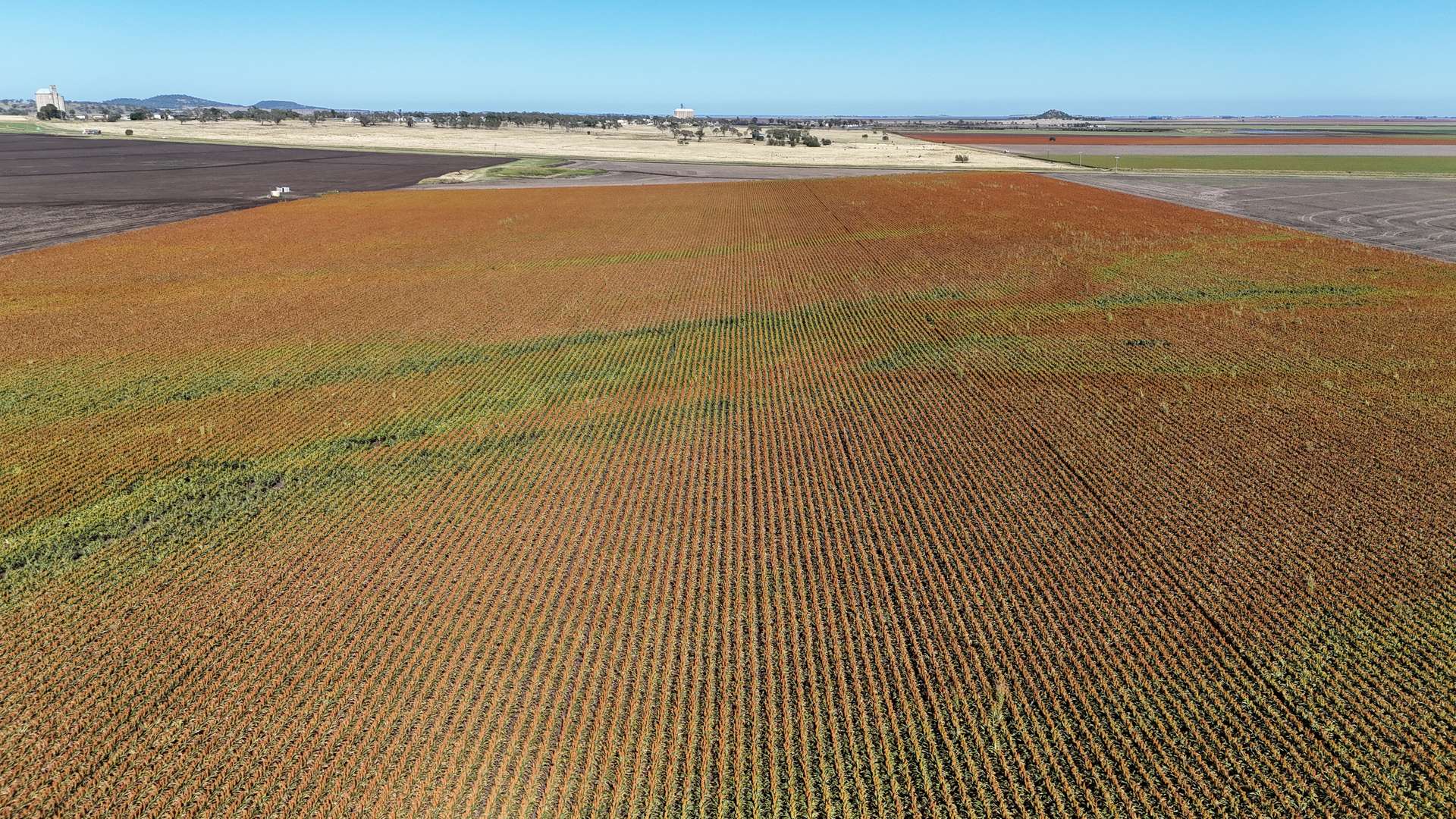 "Mullers Flat" Lot 2022 Oakey Pittsworth Road, Aubigny For Sale by Farmbuy.com - image 12