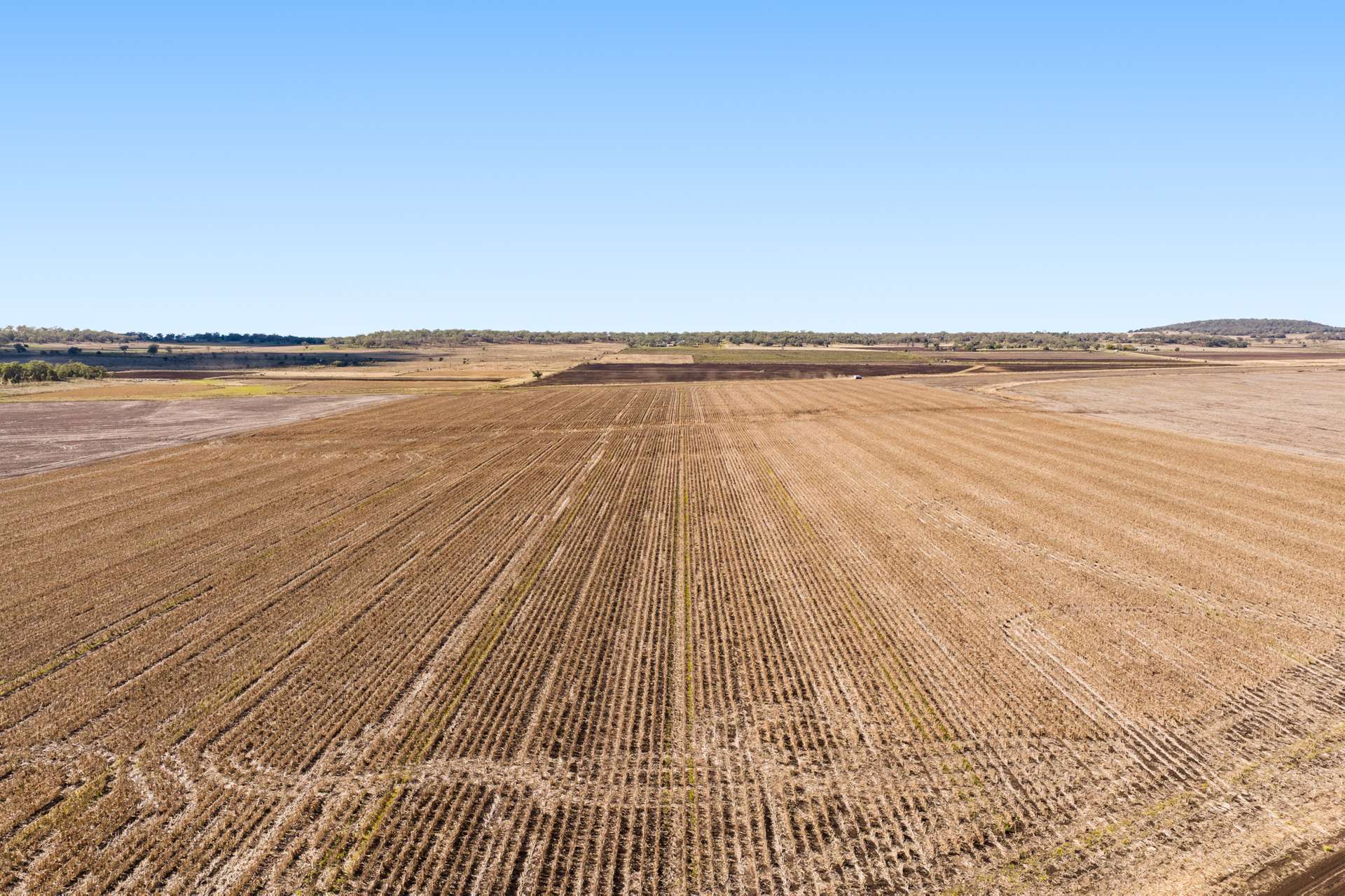 "Mullers Flat" Lot 2022 Oakey Pittsworth Road, Aubigny For Sale by Farmbuy.com - image 6