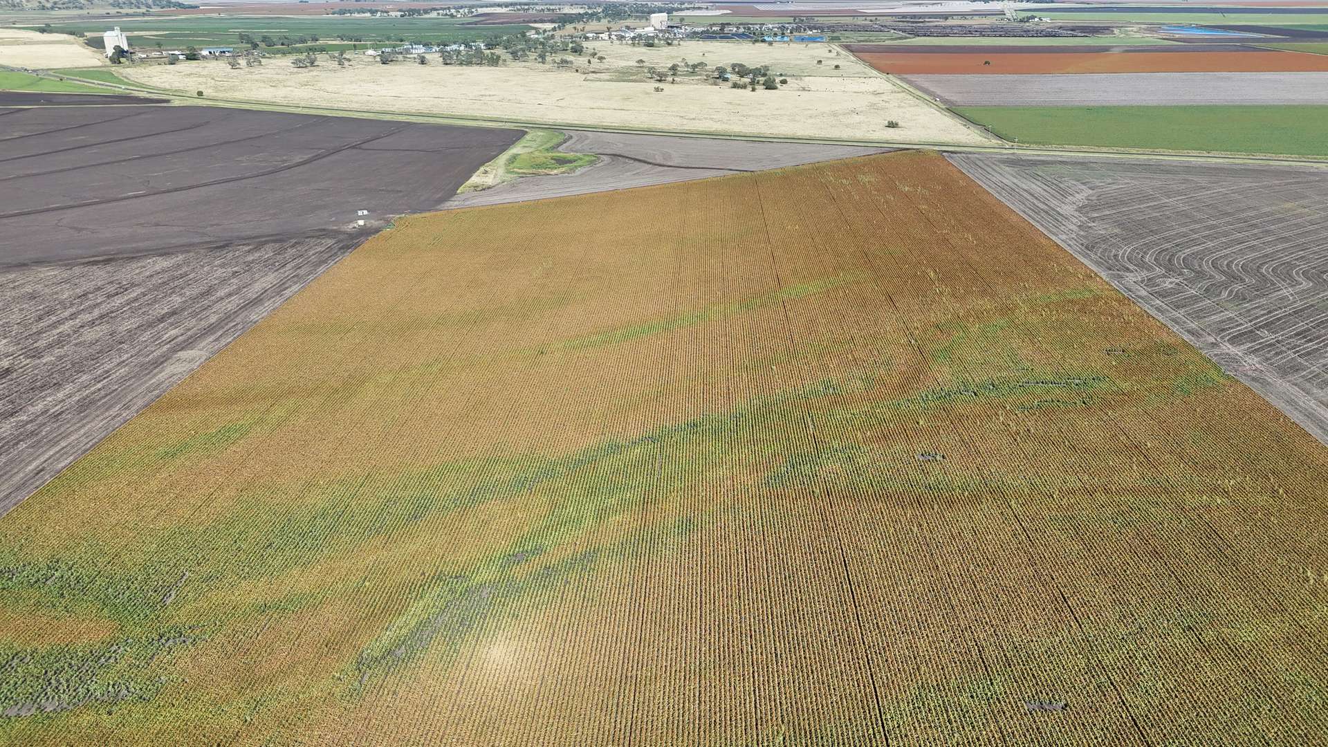 "Mullers Flat" Lot 2022 Oakey Pittsworth Road, Aubigny For Sale by Farmbuy.com - image 3