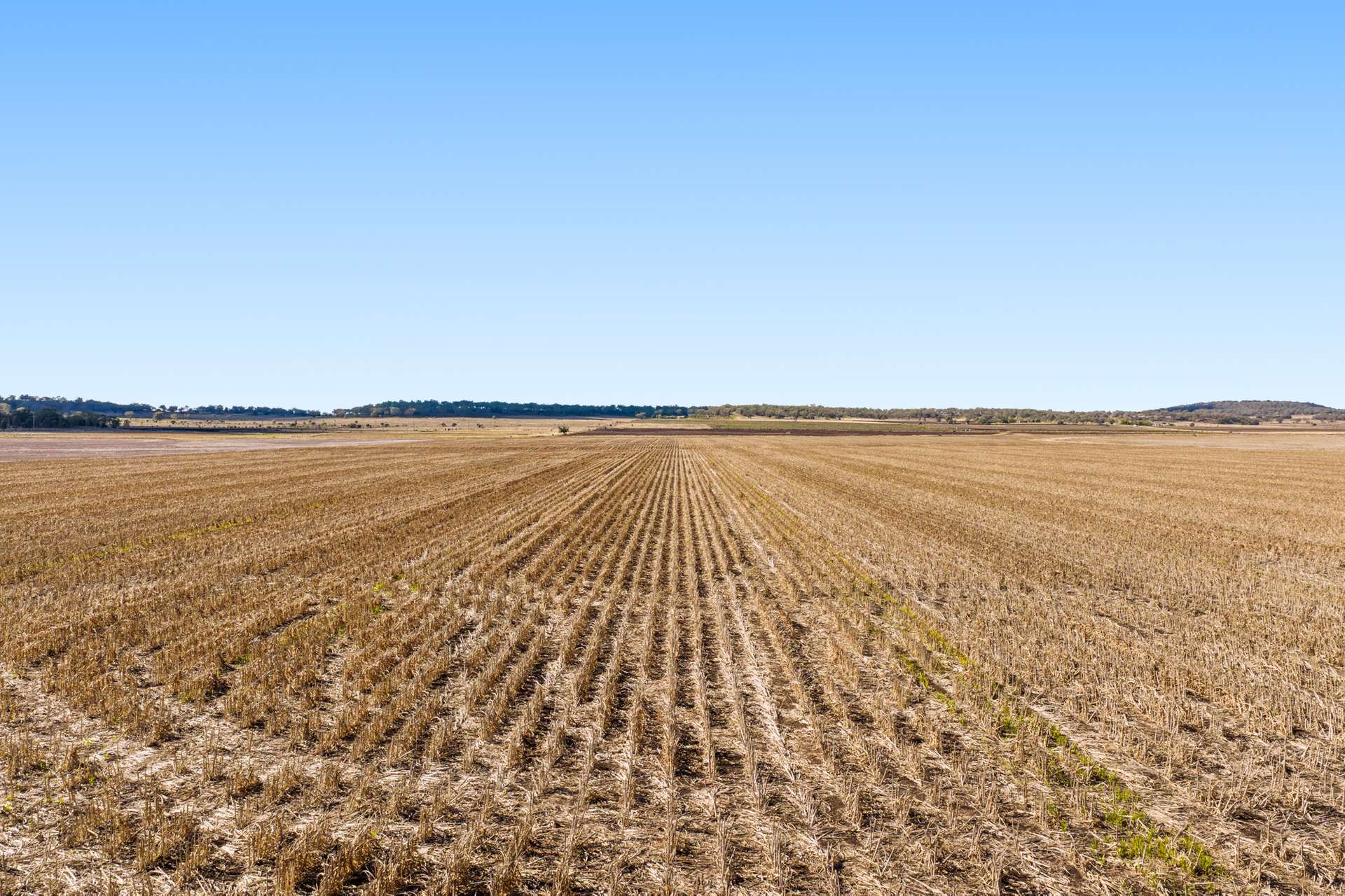 "Mullers Flat" Lot 2022 Oakey Pittsworth Road, Aubigny For Sale by Farmbuy.com - image 5