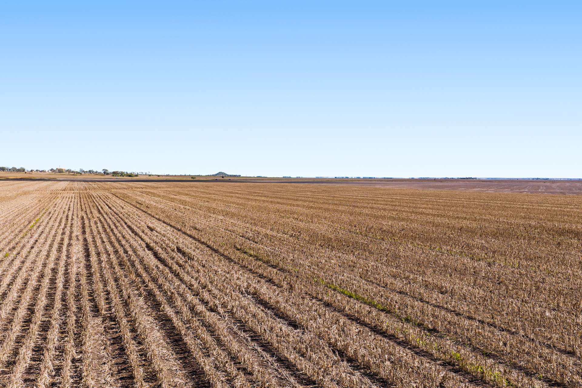 "Mullers Flat" Lot 2022 Oakey Pittsworth Road, Aubigny For Sale by Farmbuy.com - image 7