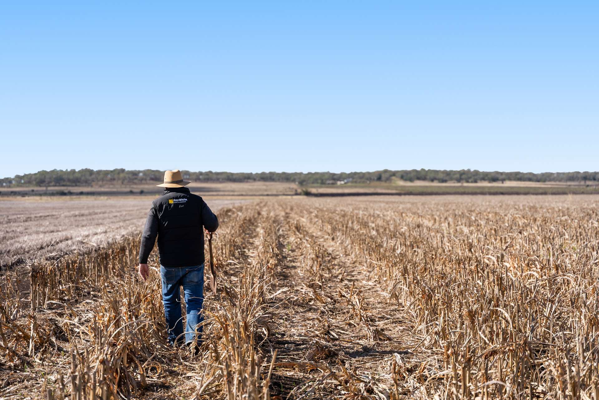 "Mullers Flat" Lot 2022 Oakey Pittsworth Road, Aubigny For Sale by Farmbuy.com - image 8