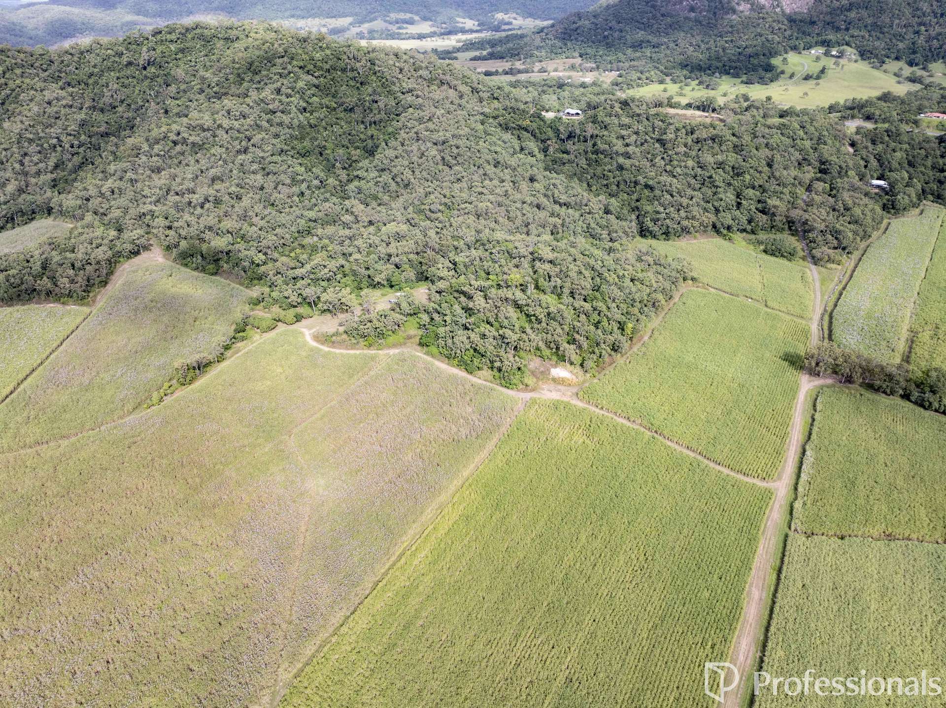 Lot 21 Bugeja Road, Mount Jukes For Sale by Farmbuy.com - image 15