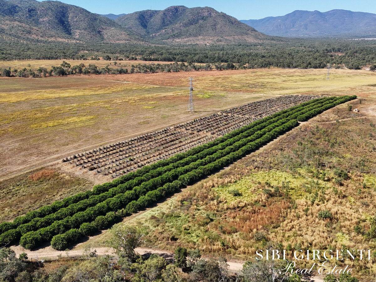 1074 Springmount Road, Mutchilba For Sale by Farmbuy.com - image 6