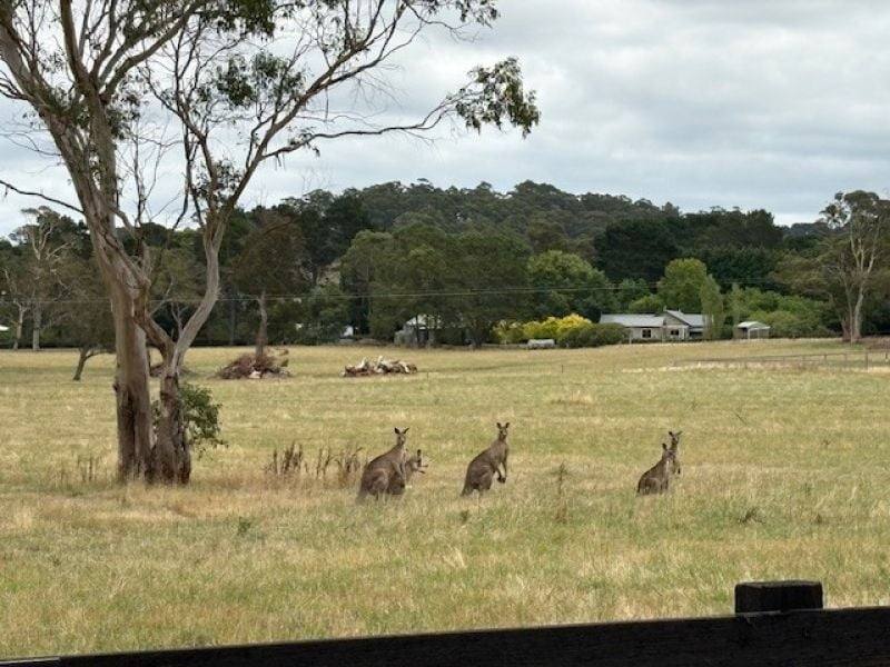 Lots 20-24/80 Ferndale Road, Bundanoon For Sale by Farmbuy.com - image 10