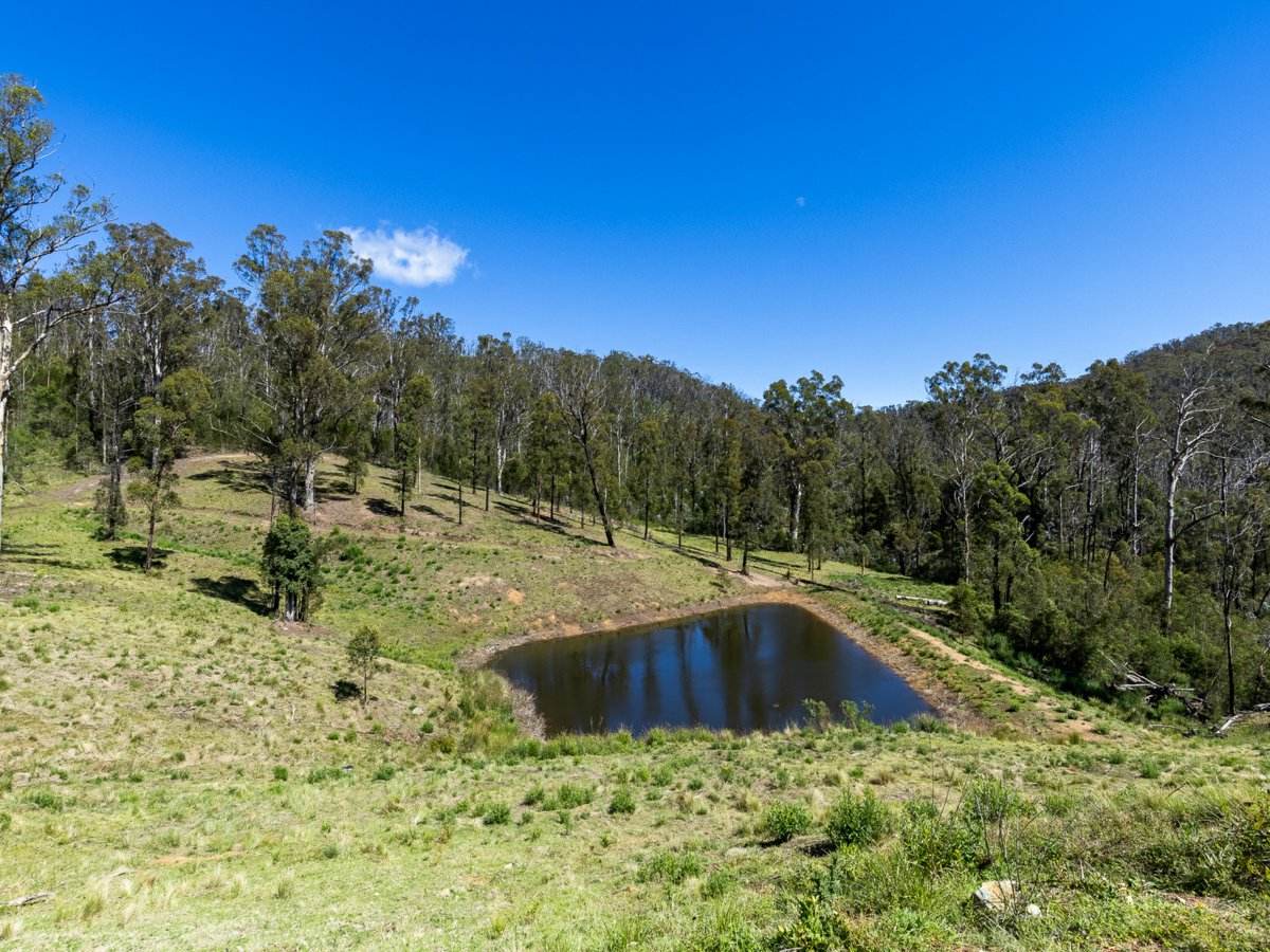Lot 110 New Station Creek Road, Wyndham For Sale by Farmbuy.com - image 22