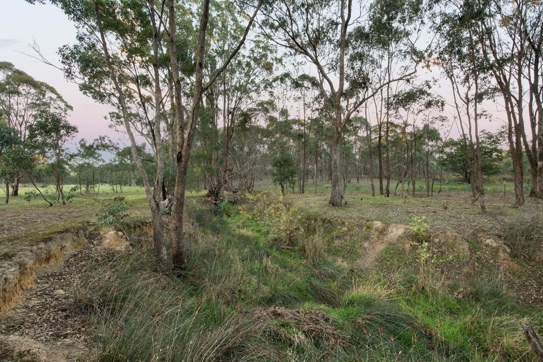 Lot Lot 2, CA48 O’Halloran Drive, Mandurang South For Sale by Farmbuy.com - image 10