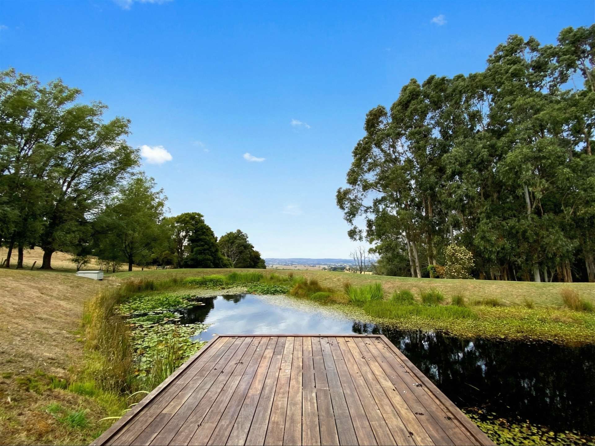 30 Omalleys Road, Mardan For Sale by Farmbuy.com - image 4
