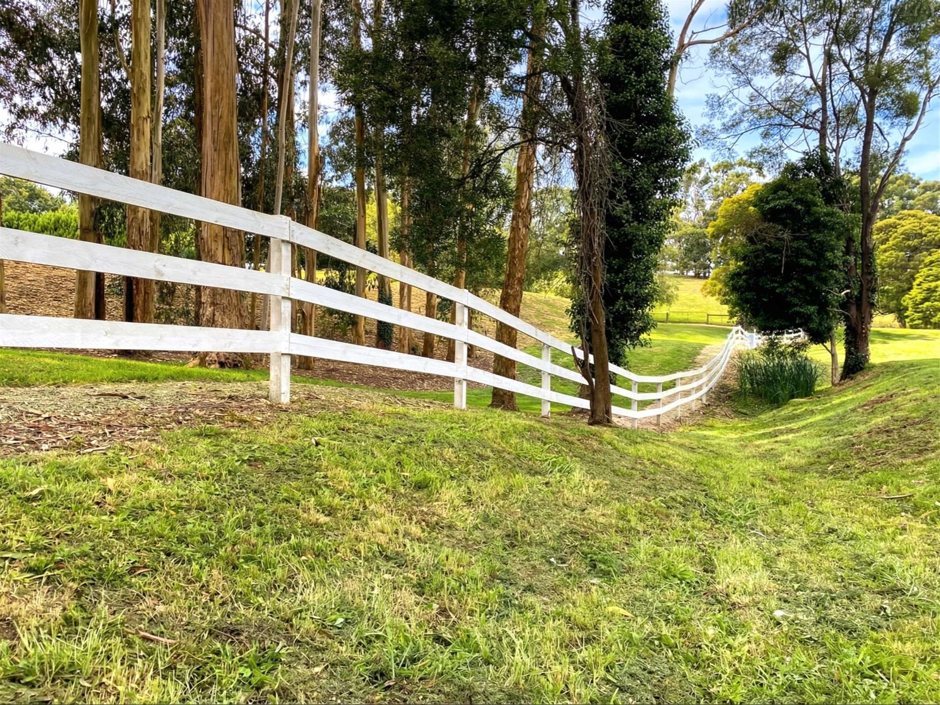 30 Omalleys Road, Mardan For Sale by Farmbuy.com - image 17