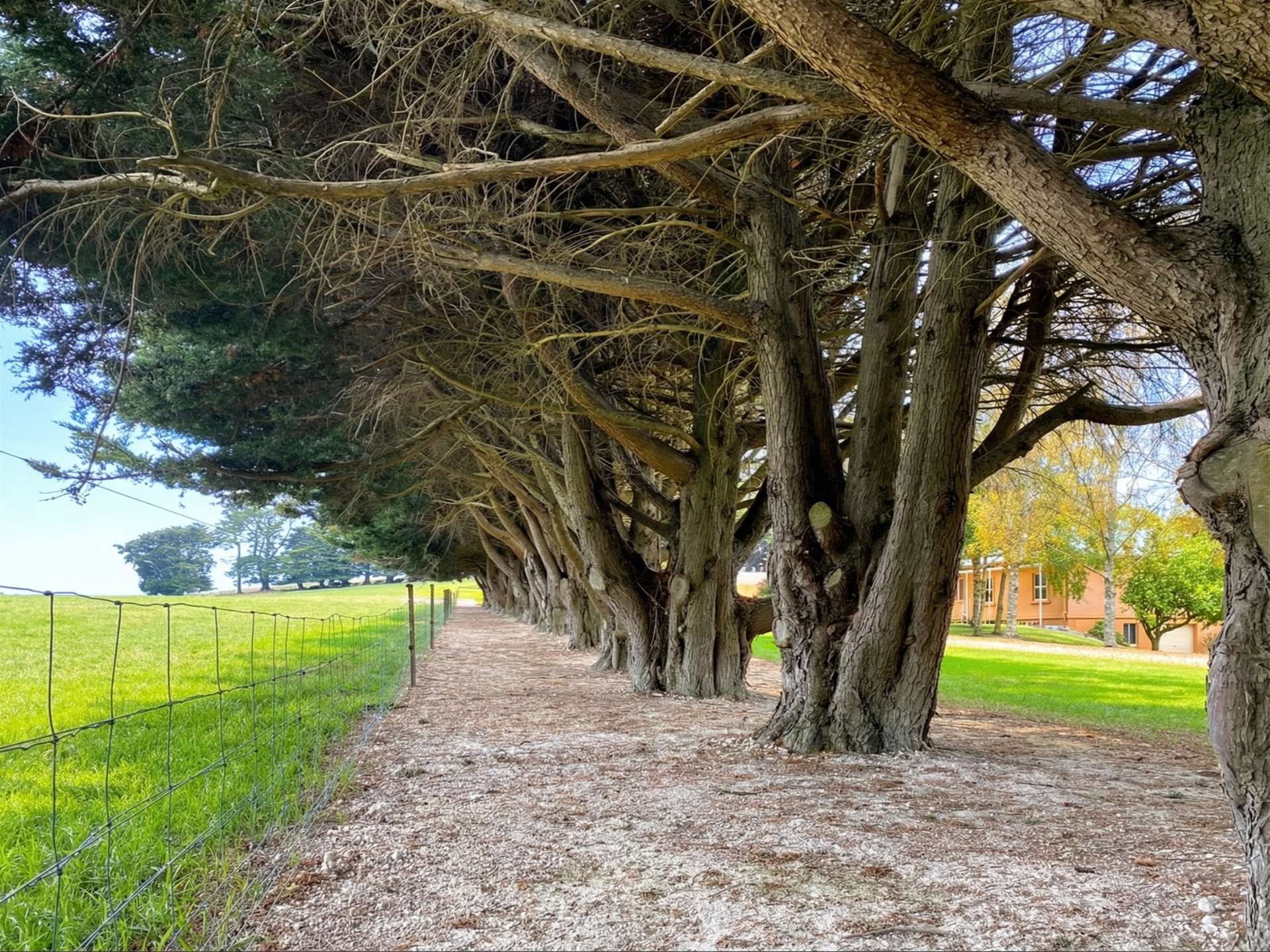 30 Omalleys Road, Mardan For Sale by Farmbuy.com - image 8