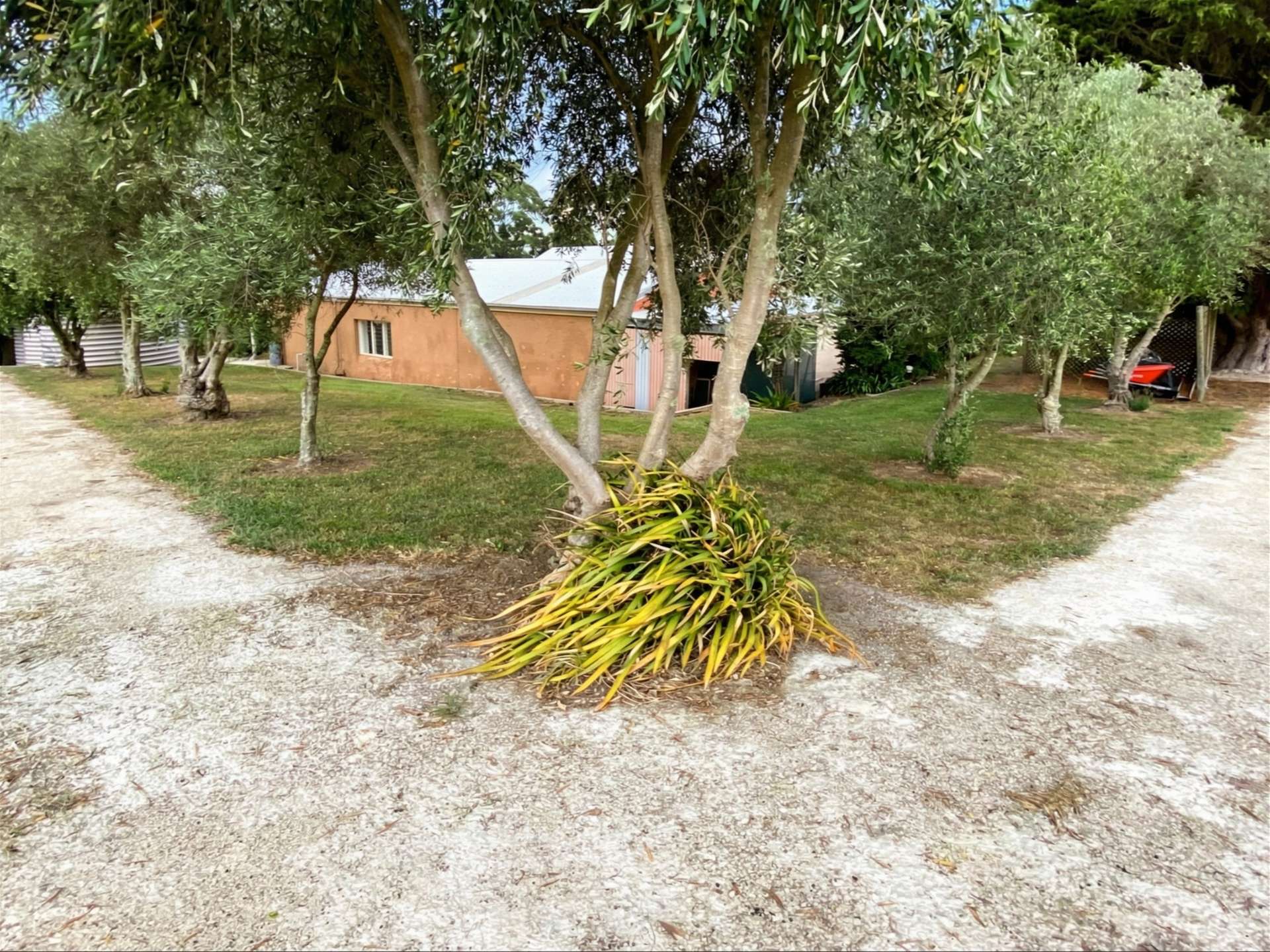 30 Omalleys Road, Mardan For Sale by Farmbuy.com - image 10
