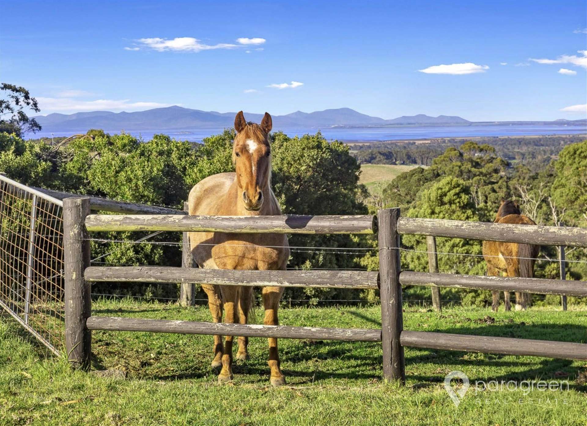40 Oram Road, Foster For Sale by Farmbuy.com - image 2