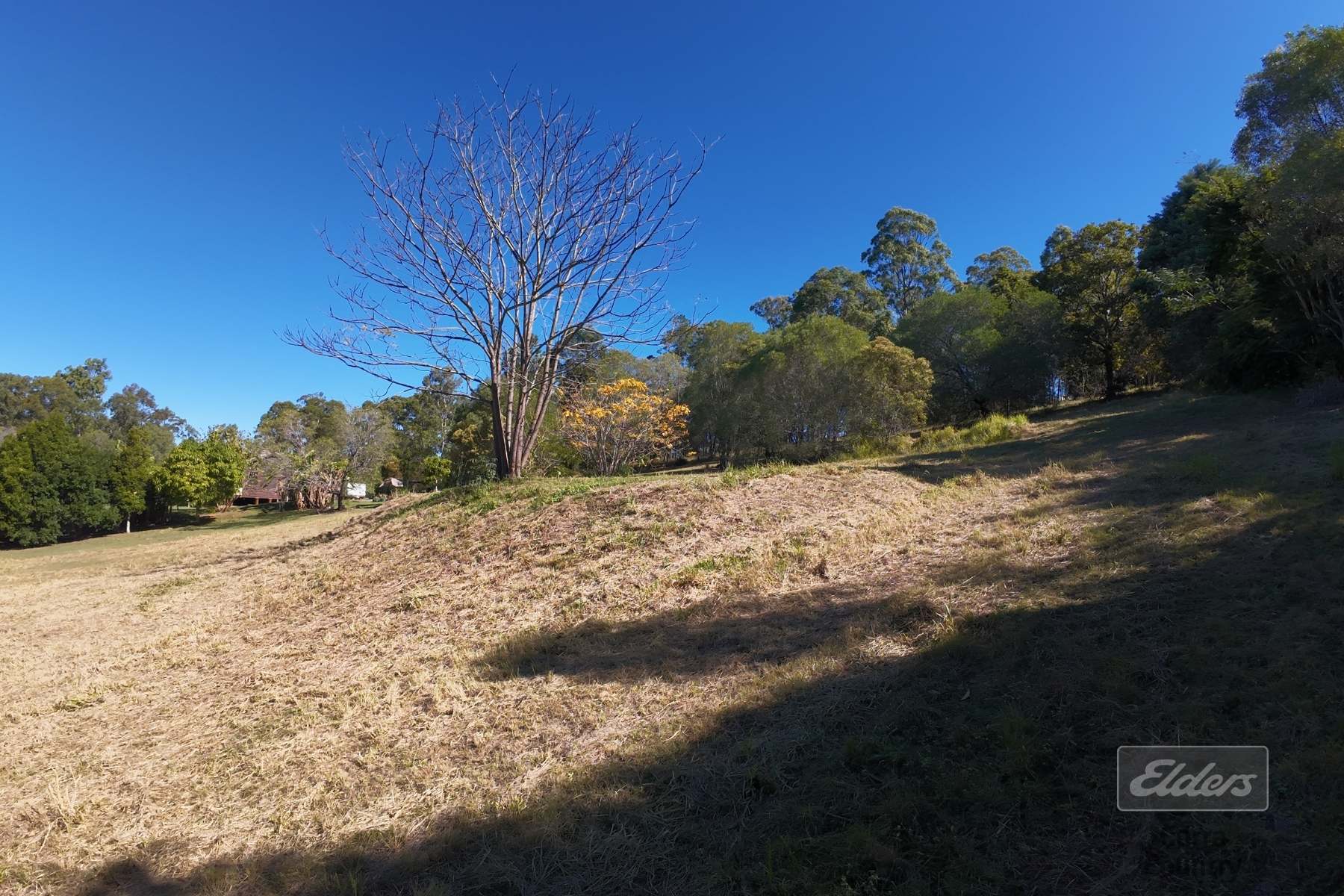 Lot 393 Arbortwelve Road, Glenwood For Sale by Farmbuy.com - image 6