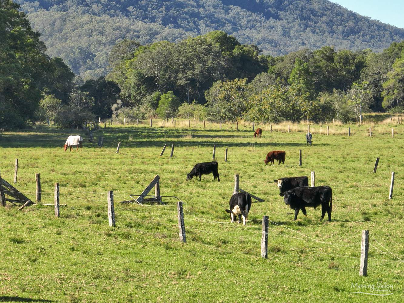 124 Burgmans Lane, Lansdowne Auction by Farmbuy.com - image 3