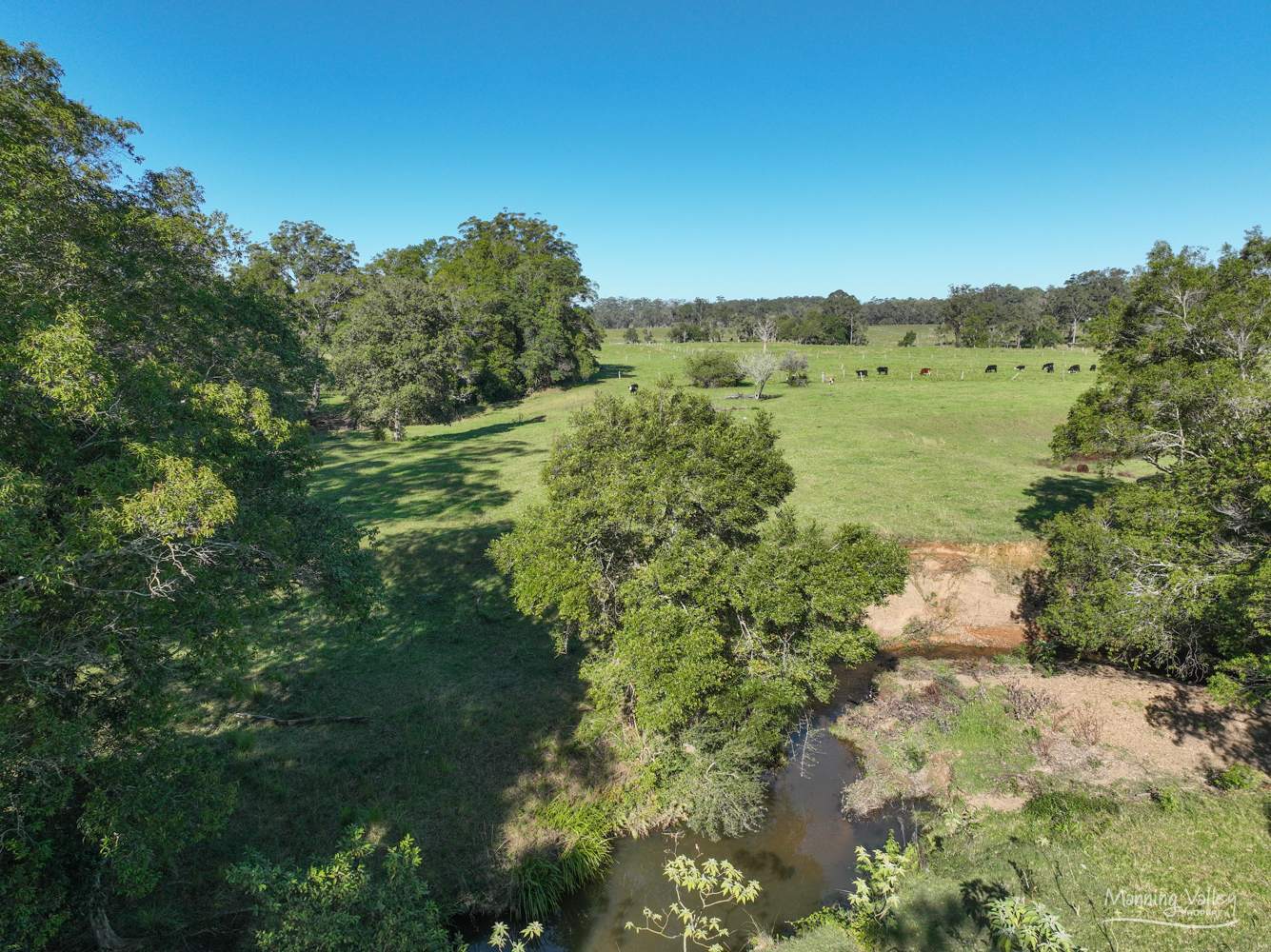 124 Burgmans Lane, Lansdowne Auction by Farmbuy.com - image 17
